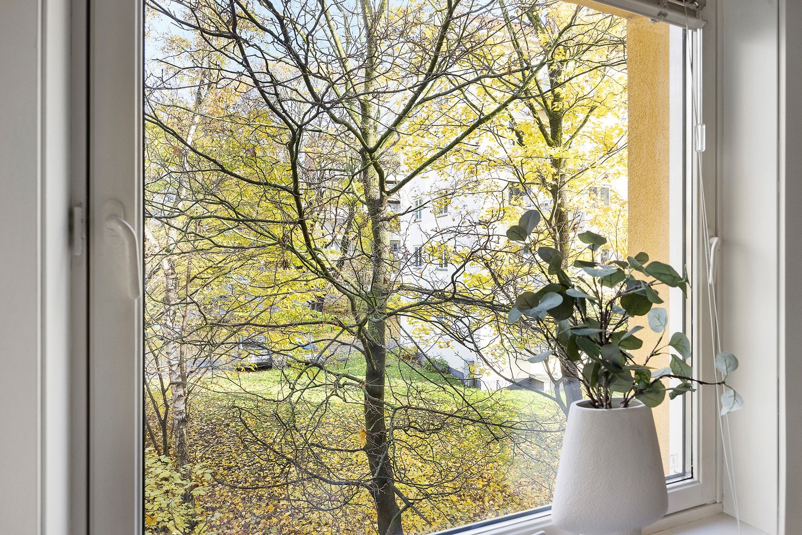 Utsikt Galleribilde