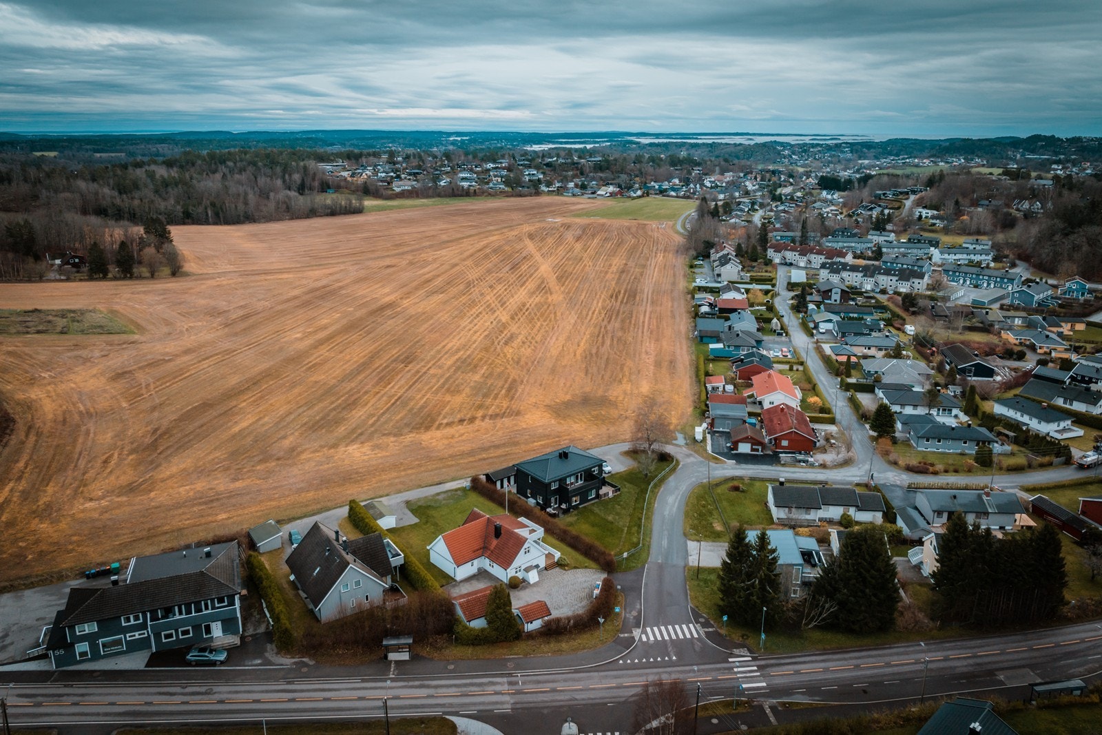 Skal ikke se bort ifra at du ser rådyr fra leiligheten Galleribilde