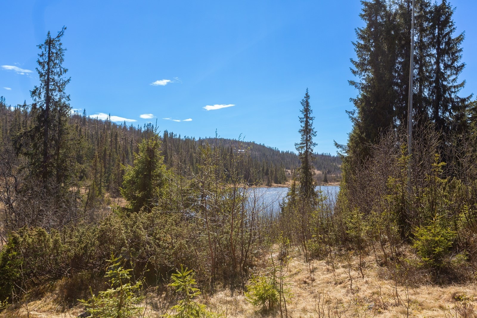 Start gjerne sommerdagen med en frisk morgendukkert, prøv fiskelykken eller ro en liten tur. Galleribilde
