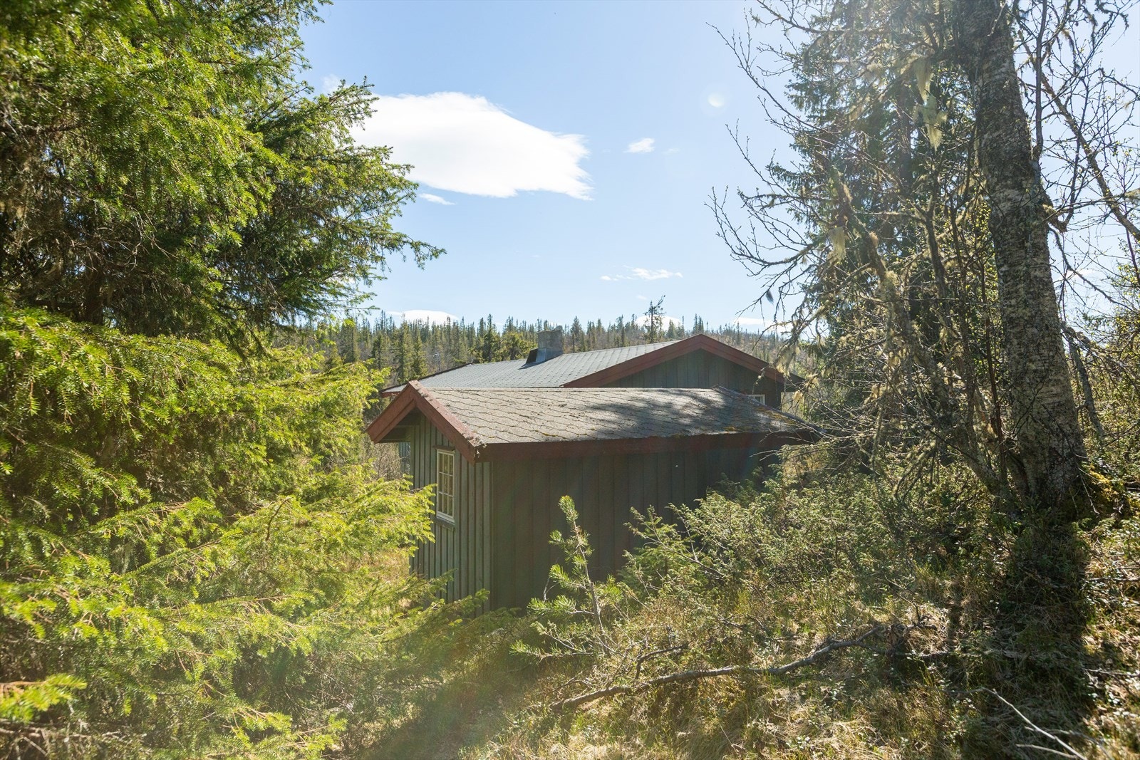 Det er helårsvei med parkering ca. 300 m fra eiendommen, og koselig sti fram til hytta. Galleribilde