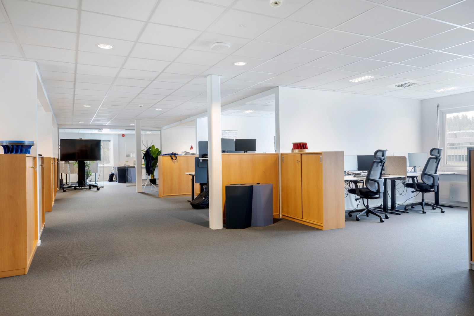 Stort åpent landskap Galleribilde