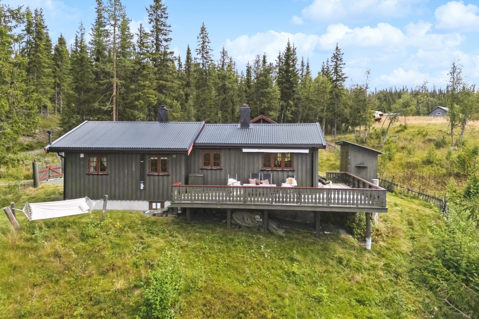 Eiendommen ligger ca. 840 moh. med fin utsikt utover området, og til myrer og åser omkring. Nærområdet byr på idyll med beitedyr, fuglekvitter og badeplass i nærheten. Galleribilde