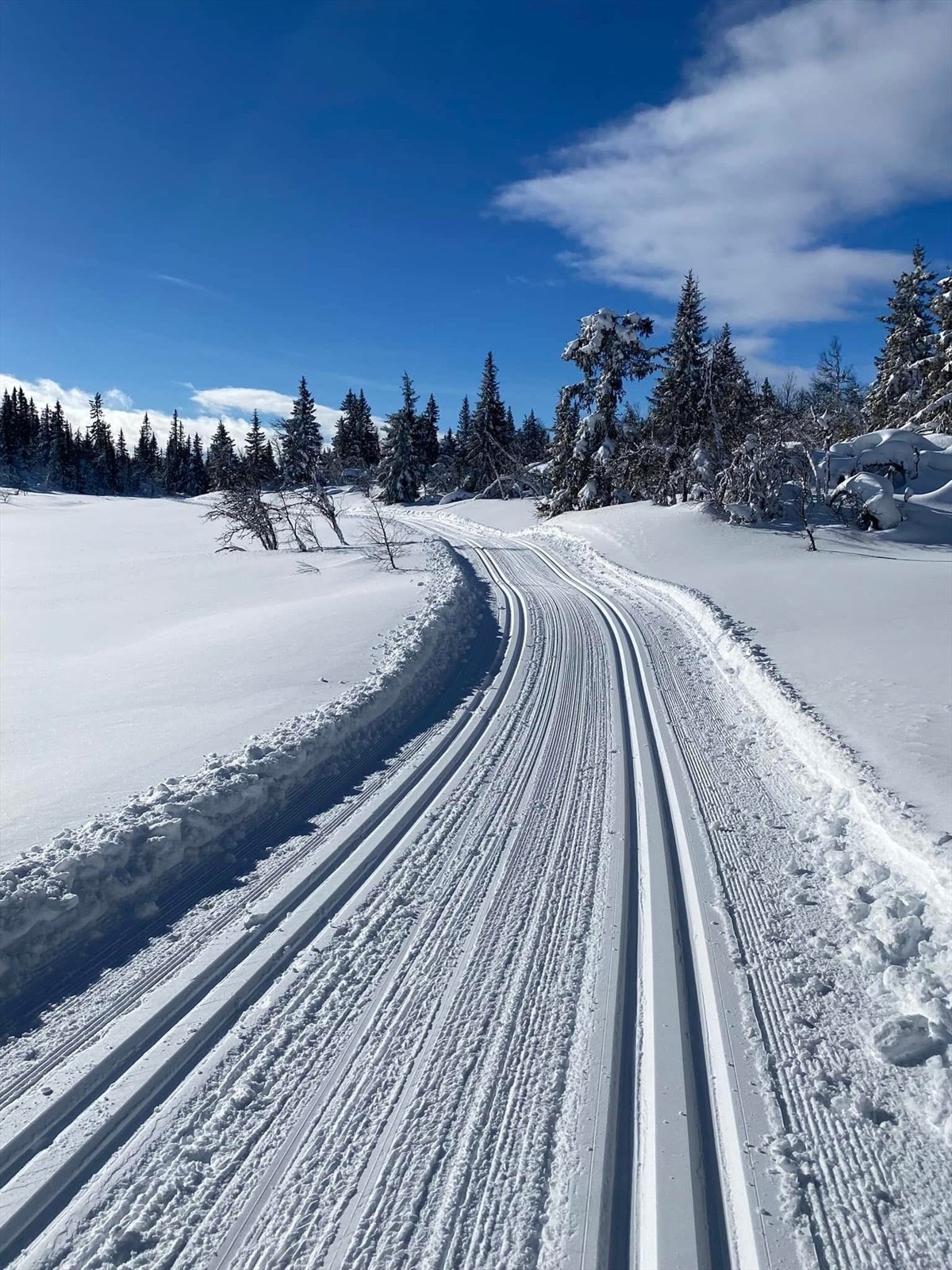 Området byr også på et flott løypenett med oppkjørte skiløyper som kan friste både store og små. Nærmeste skiløype ligger ca. 200 m. fra hytta, og er en del av et omfattende løypenett som strekker seg milevis innover fjellet. Galleribilde