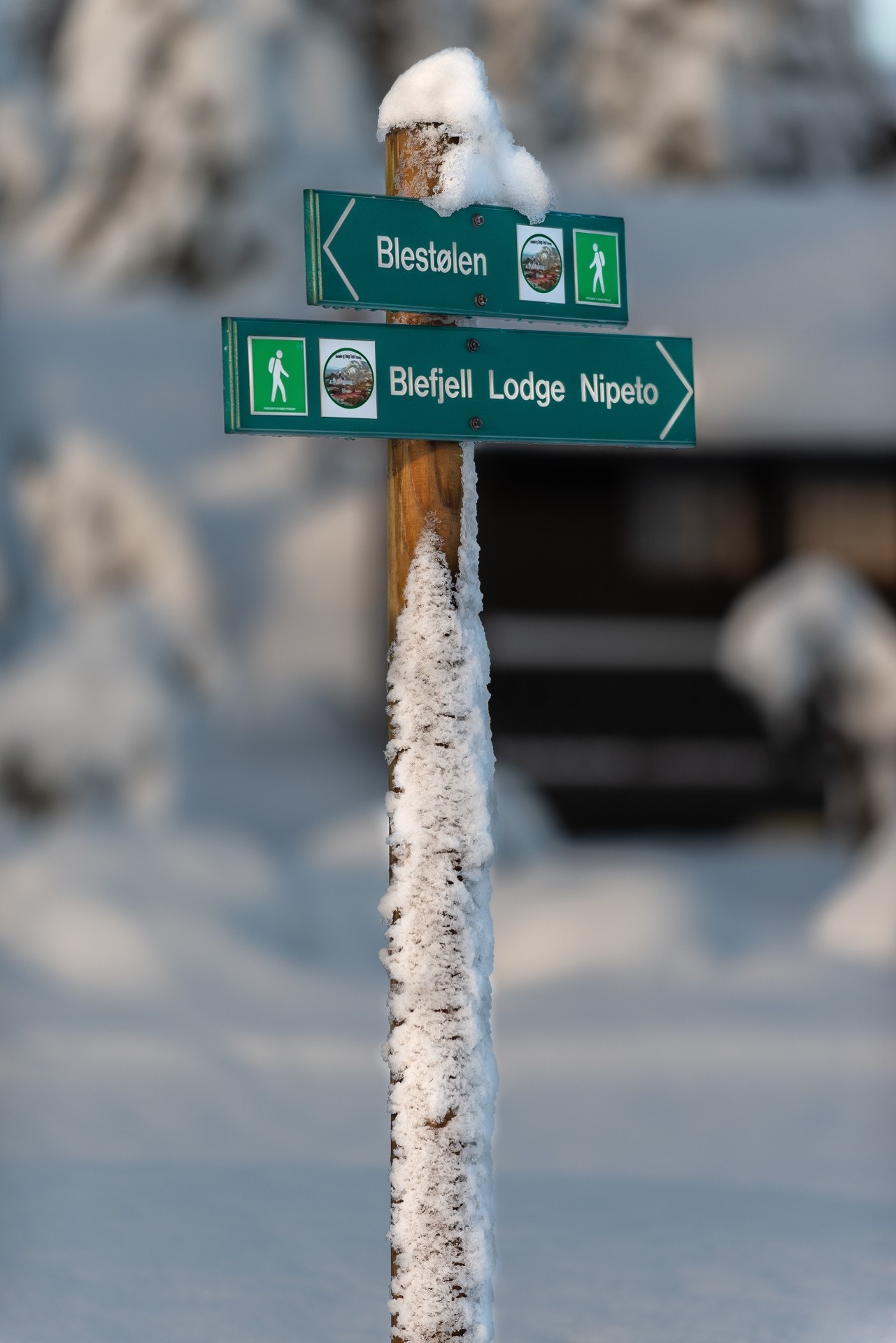Oppmerket sti og løypenett Galleribilde