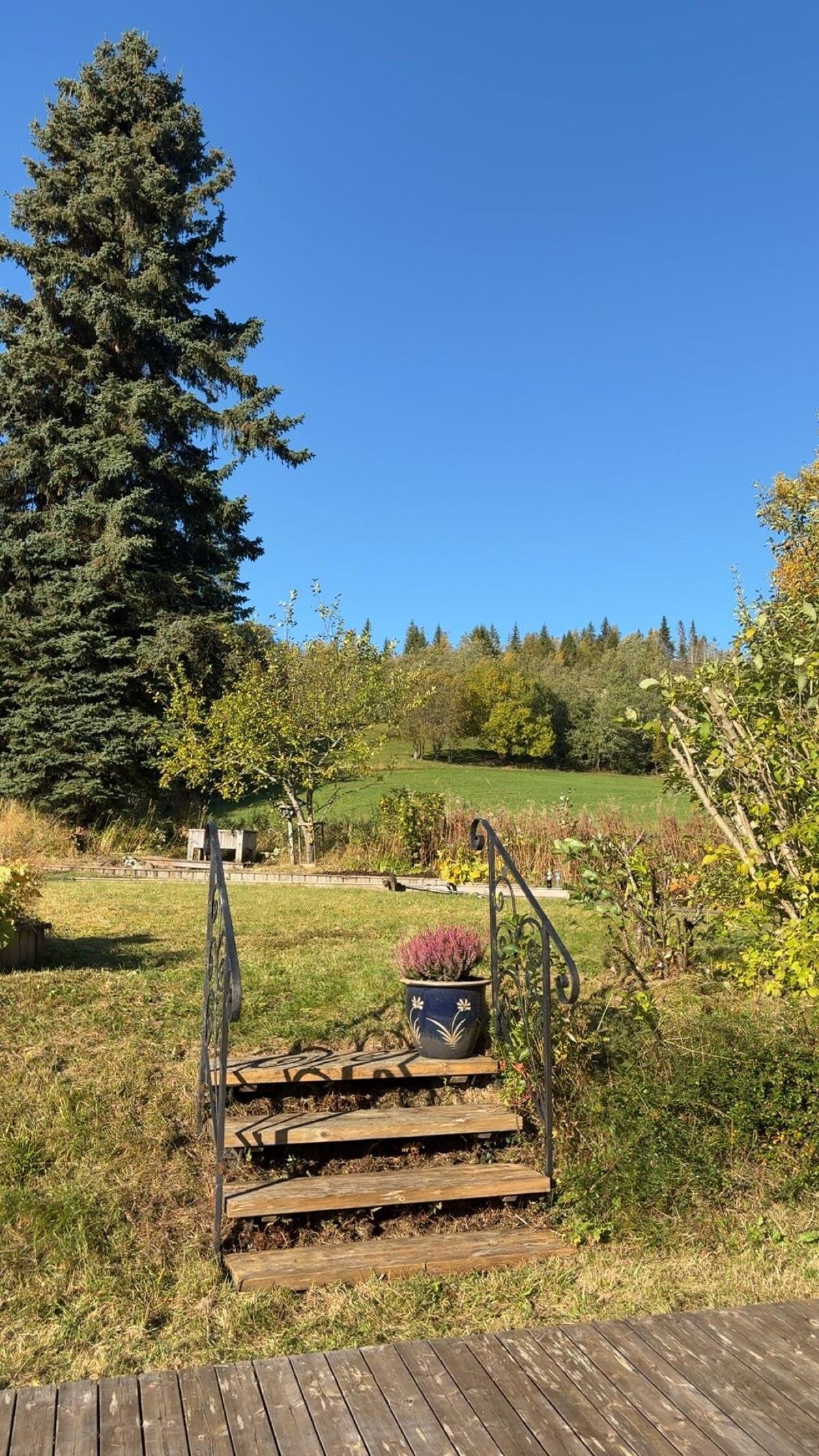 Selgers private bilde. Galleribilde