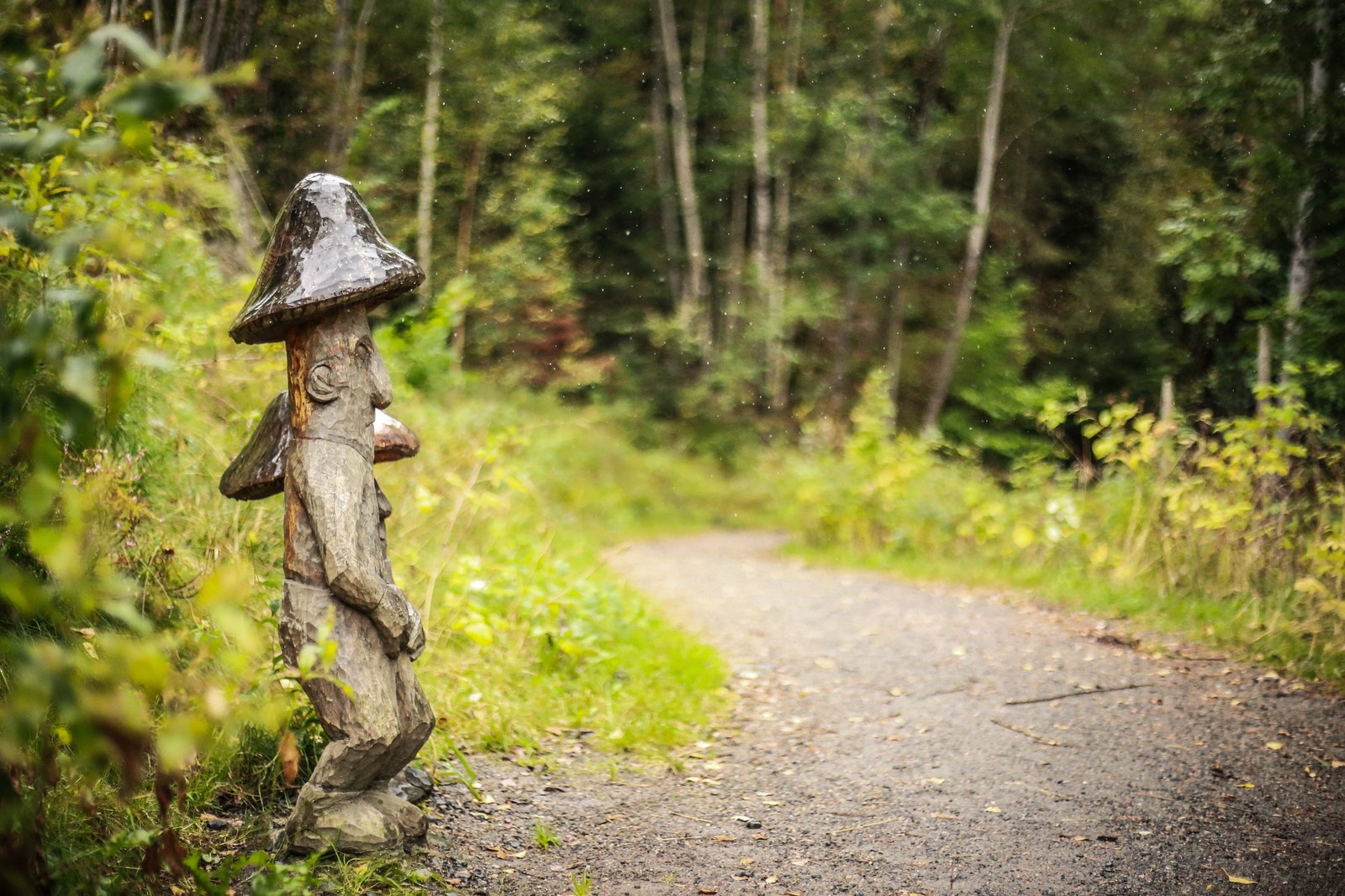 Trollstien Galleribilde