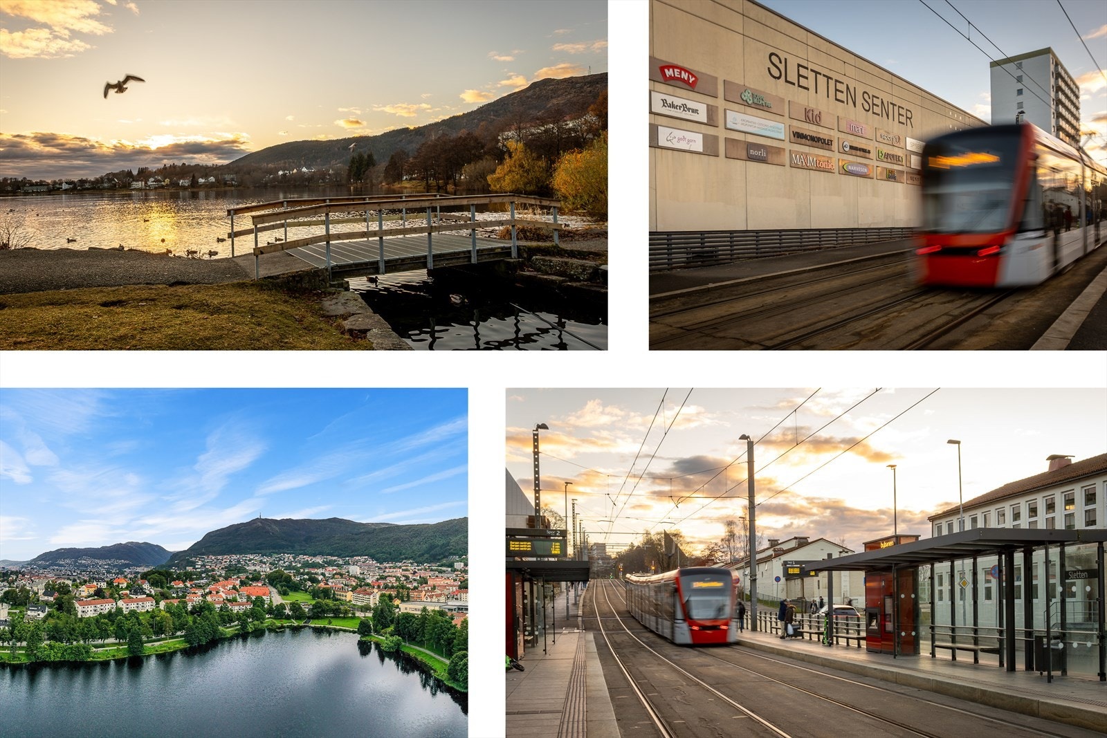 Nærområdet. Galleribilde