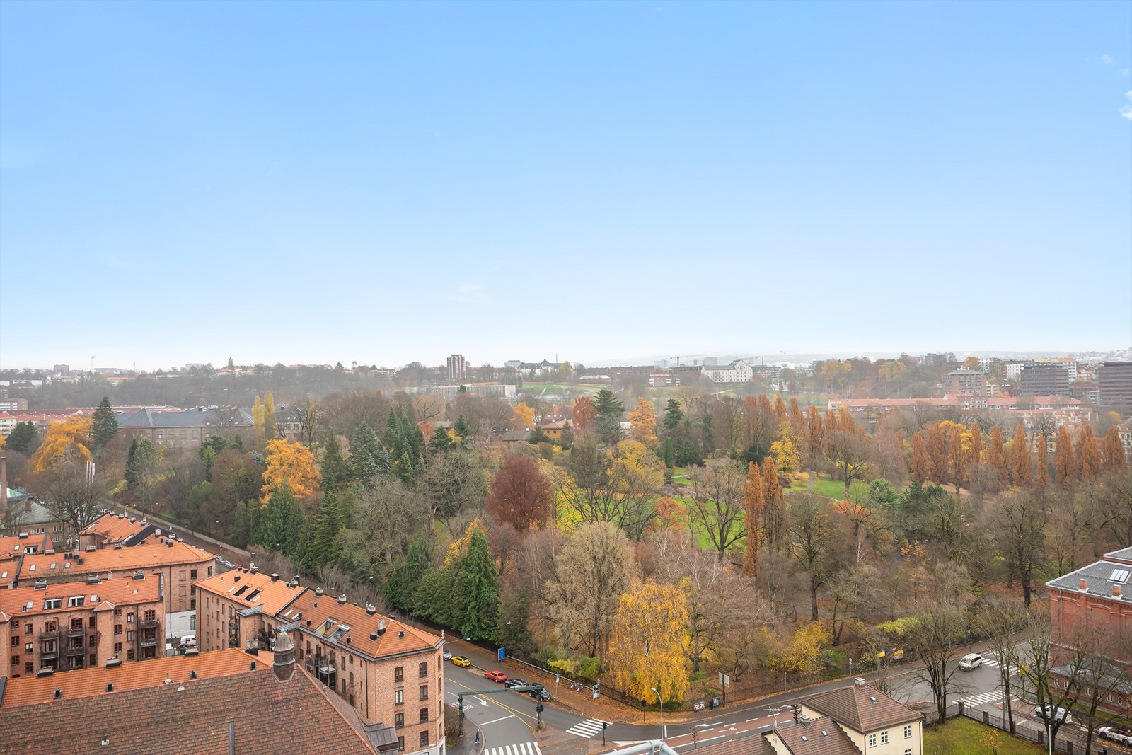 Kun ett kvartal unna ligger Botanisk hage, Oslos kanskje vakreste park, perfekt for rolige stunder i grønne omgivelser. Galleribilde