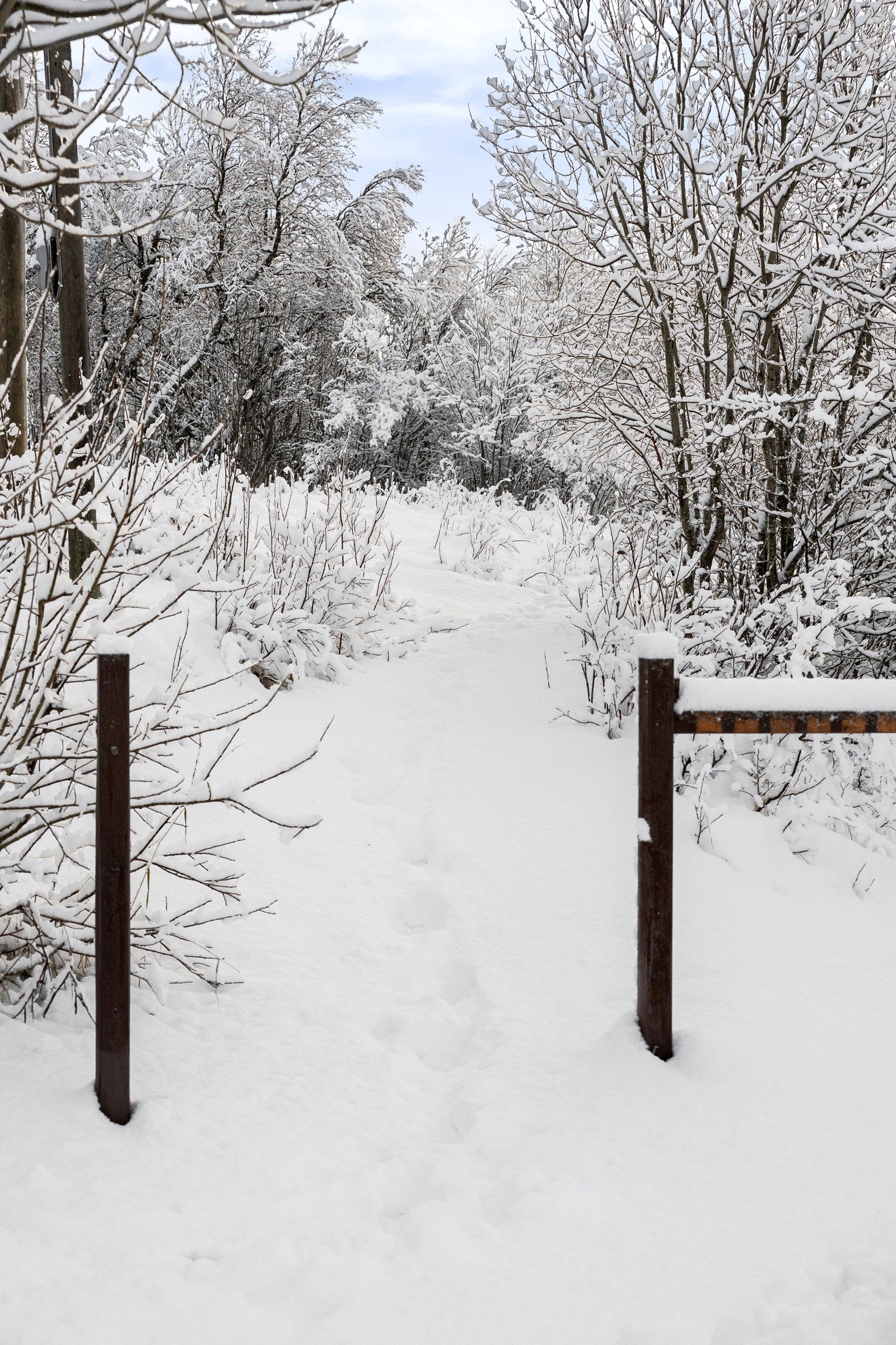 Nærhet til flotte turområder!