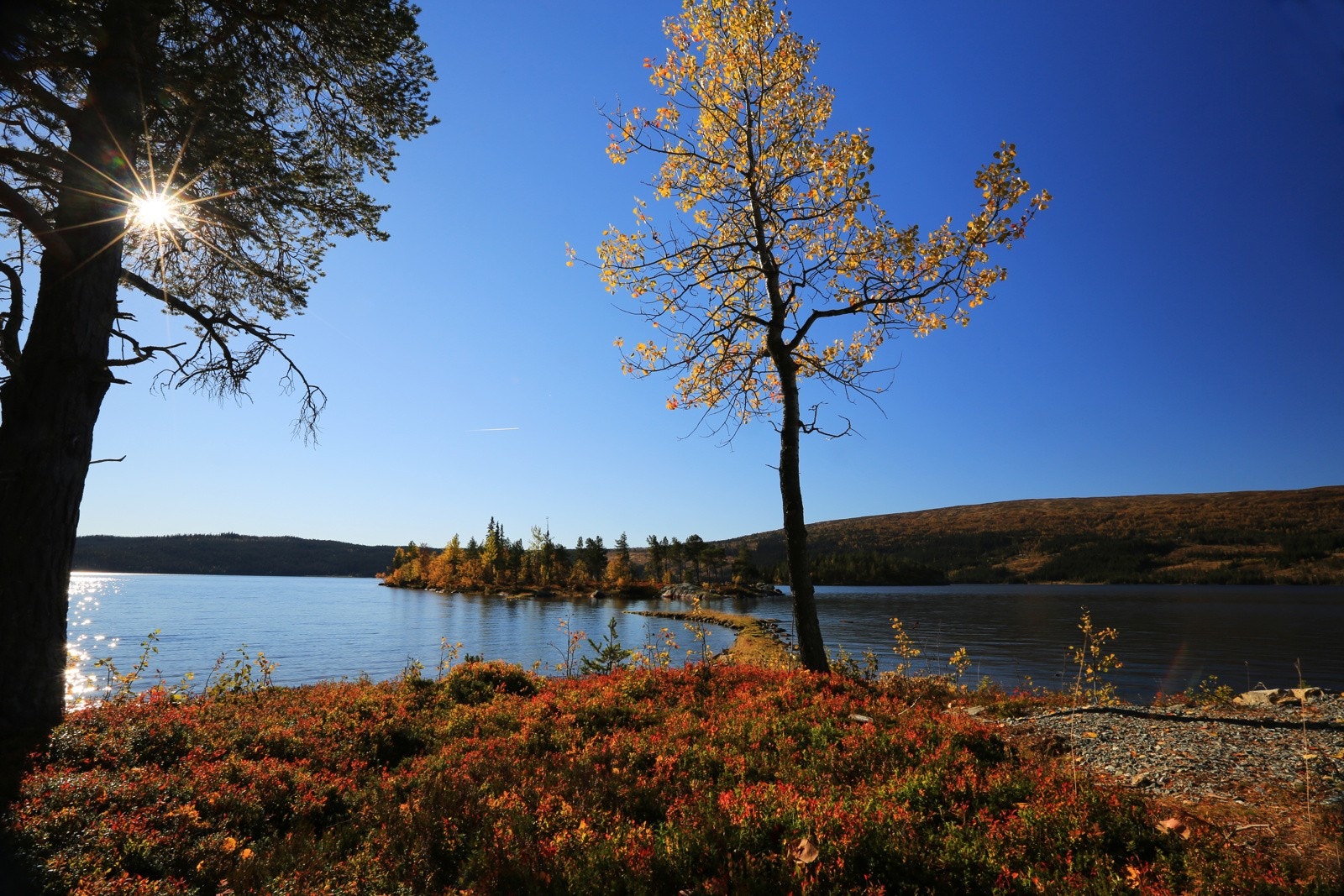 Øyangen - Her er det fint å fiske eller ta en dukkert Galleribilde