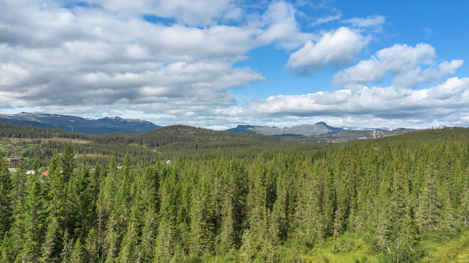 Mange fine turmuligheter sommer som vinter Galleribilde