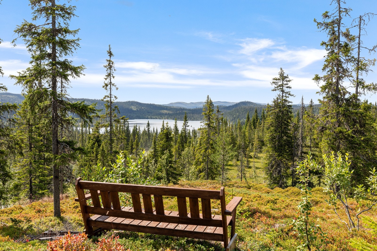 En fin plass for å nyte kaffekoppen Galleribilde