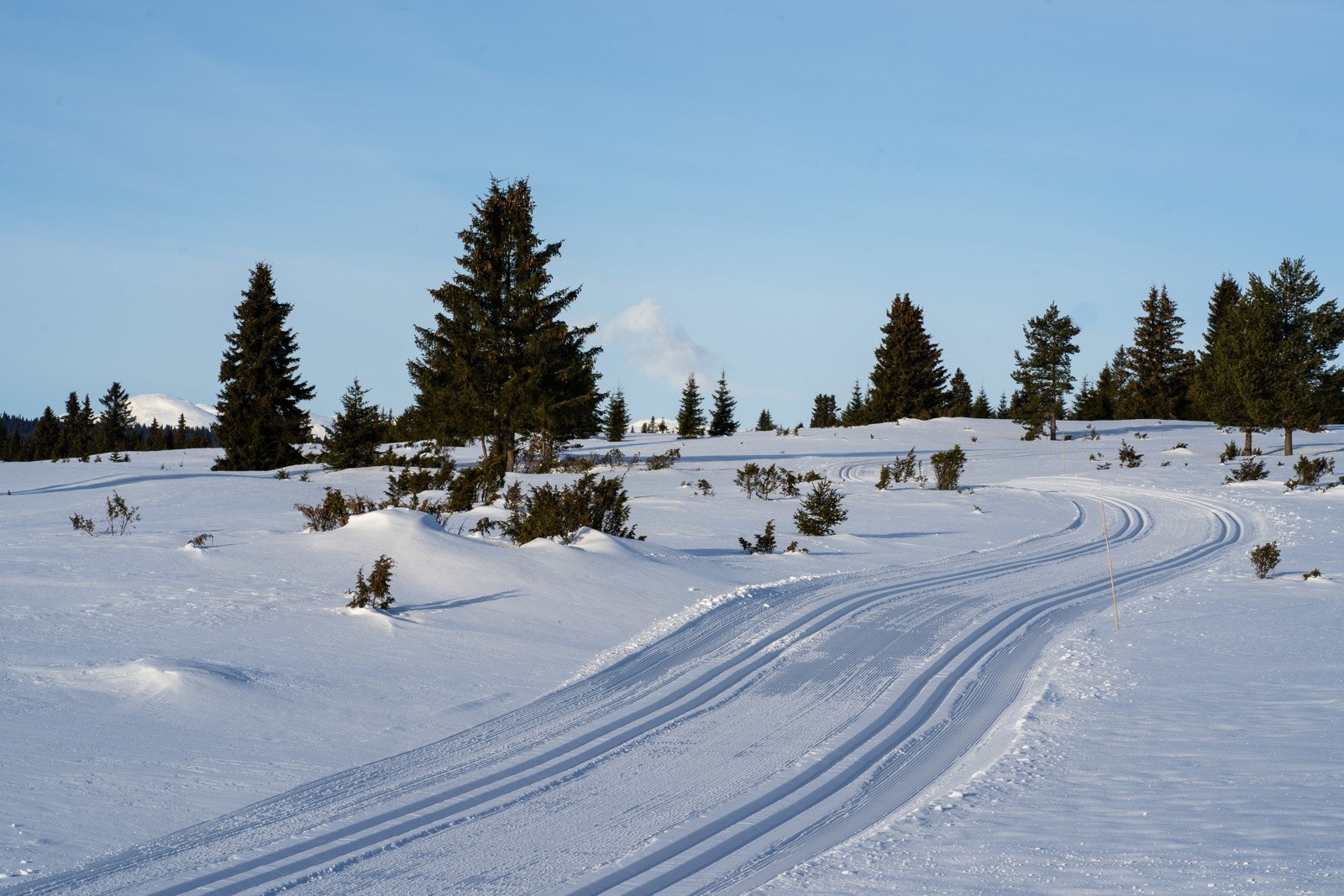 Områdebilde. Fine skiløyper - gå gjerne inn på skisporet.no eller https://stolsvidda-loypelag.no/WP/ Galleribilde