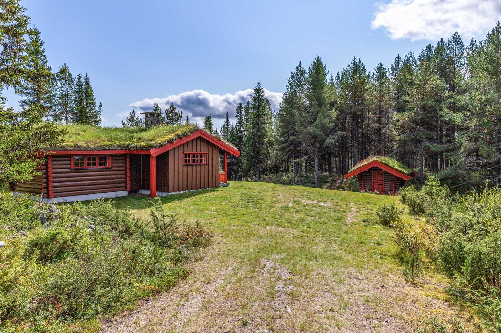 Her kan du gå rett ut i vakker natur og nyte i rolige omgivelser Galleribilde