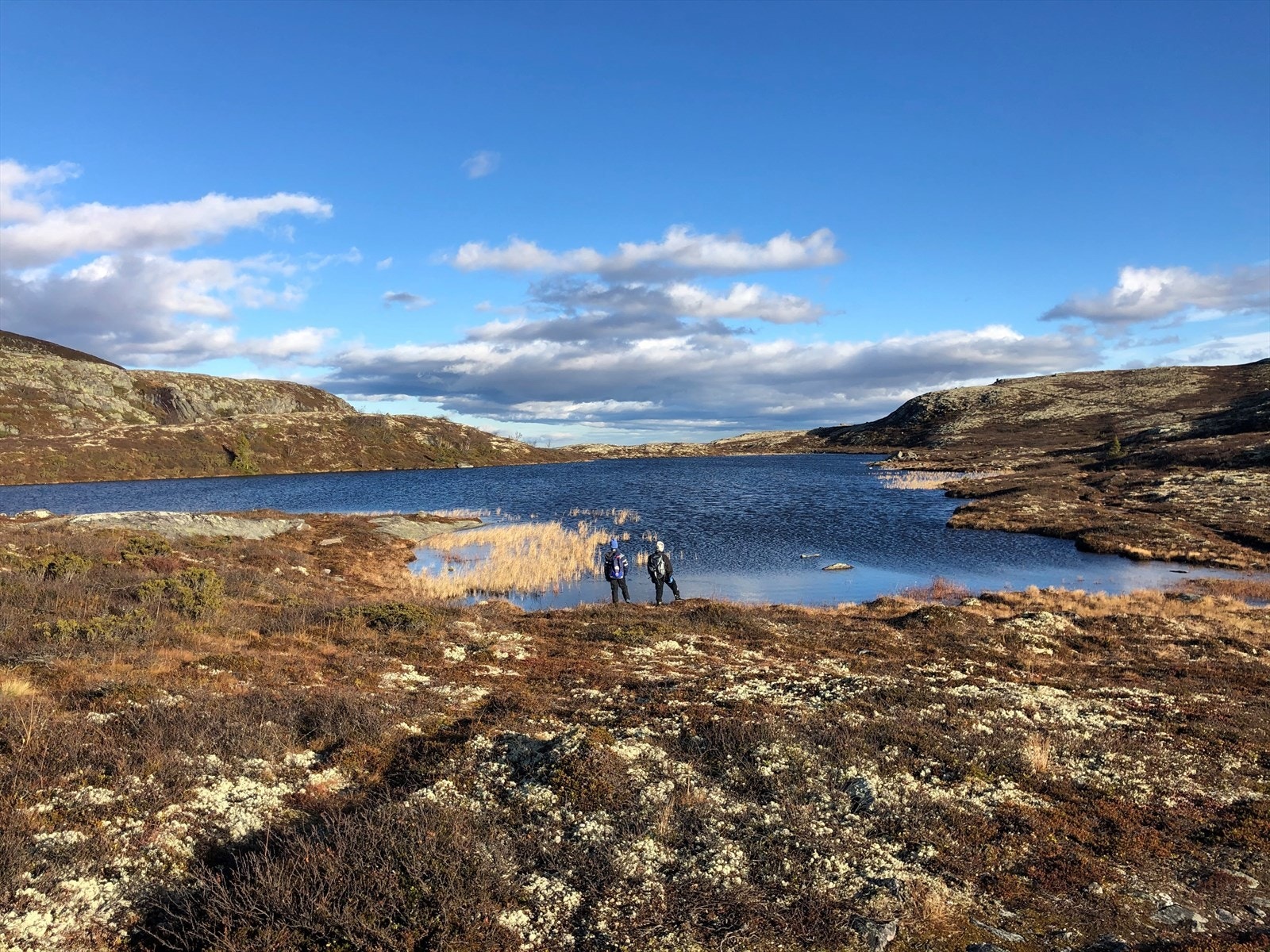 Fjellturen starter på din egen hyttetrapp, og her er mulighetene mange! Her fra stien opp til Gravfjellet (1.173 moh) som er et av flere populære turmål i området Galleribilde