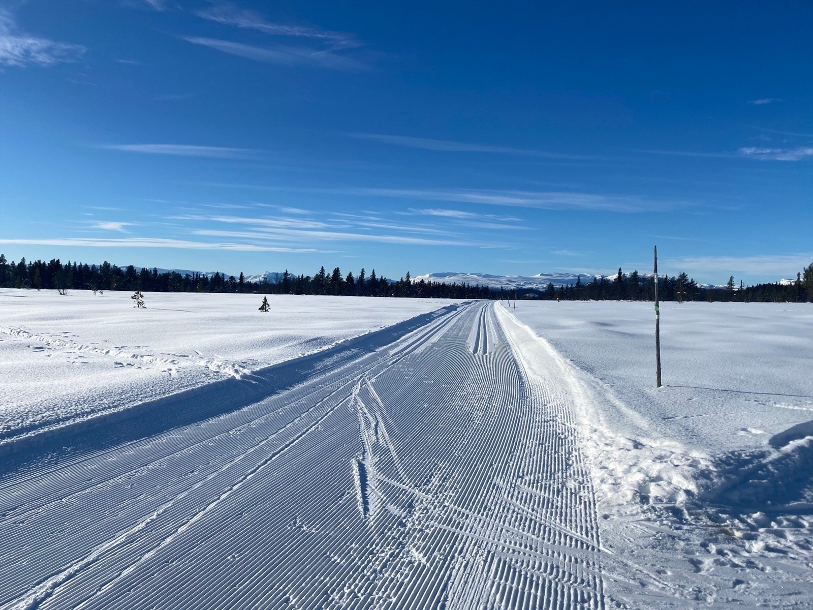 Her finner man løyper for alle aldre, uansett om man ønsker en rolig tur eller en litt friskere i mer utfordrende terreng. Galleribilde
