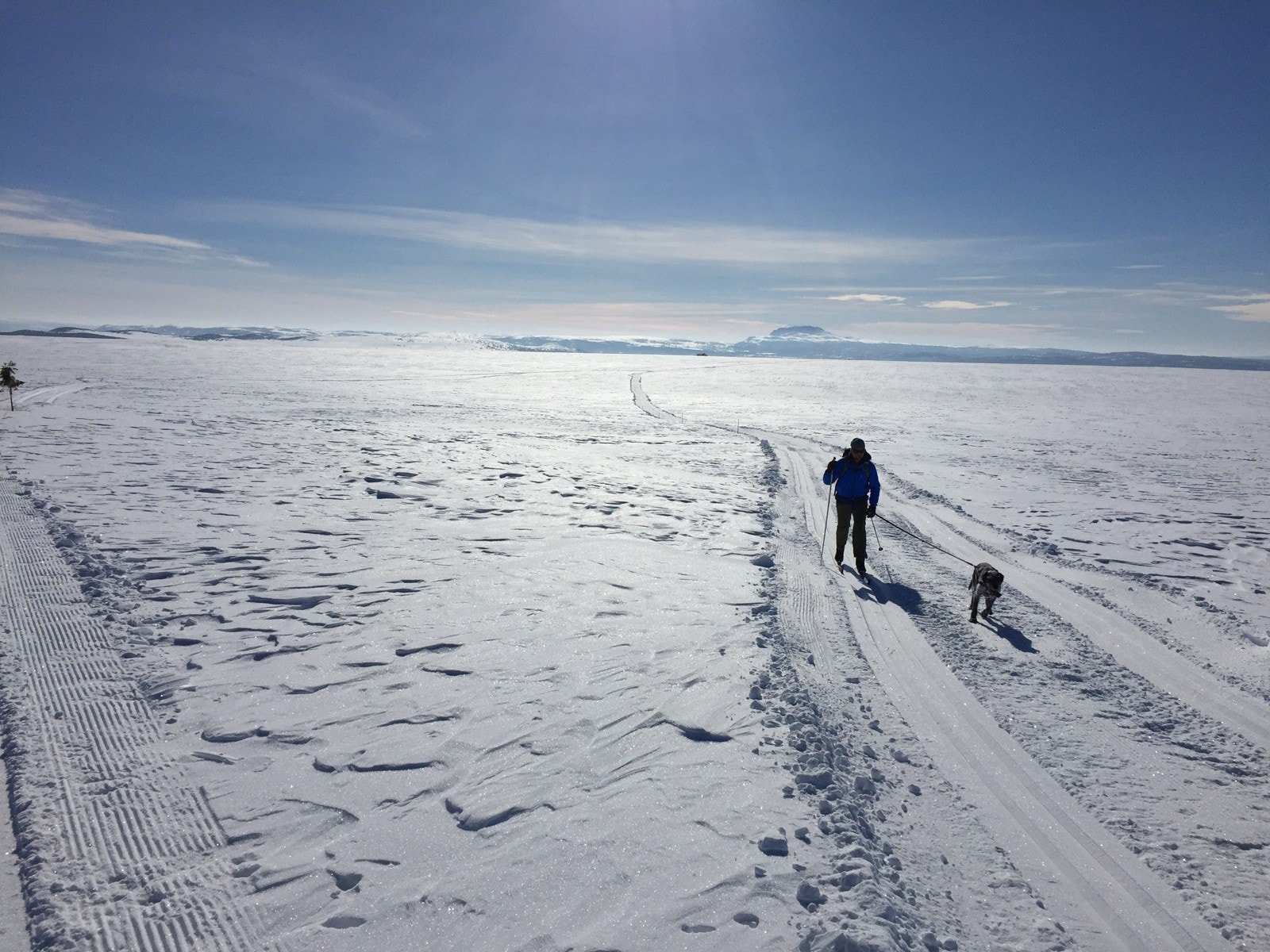 Skitur ved Yddin - Vakkert landskap Galleribilde