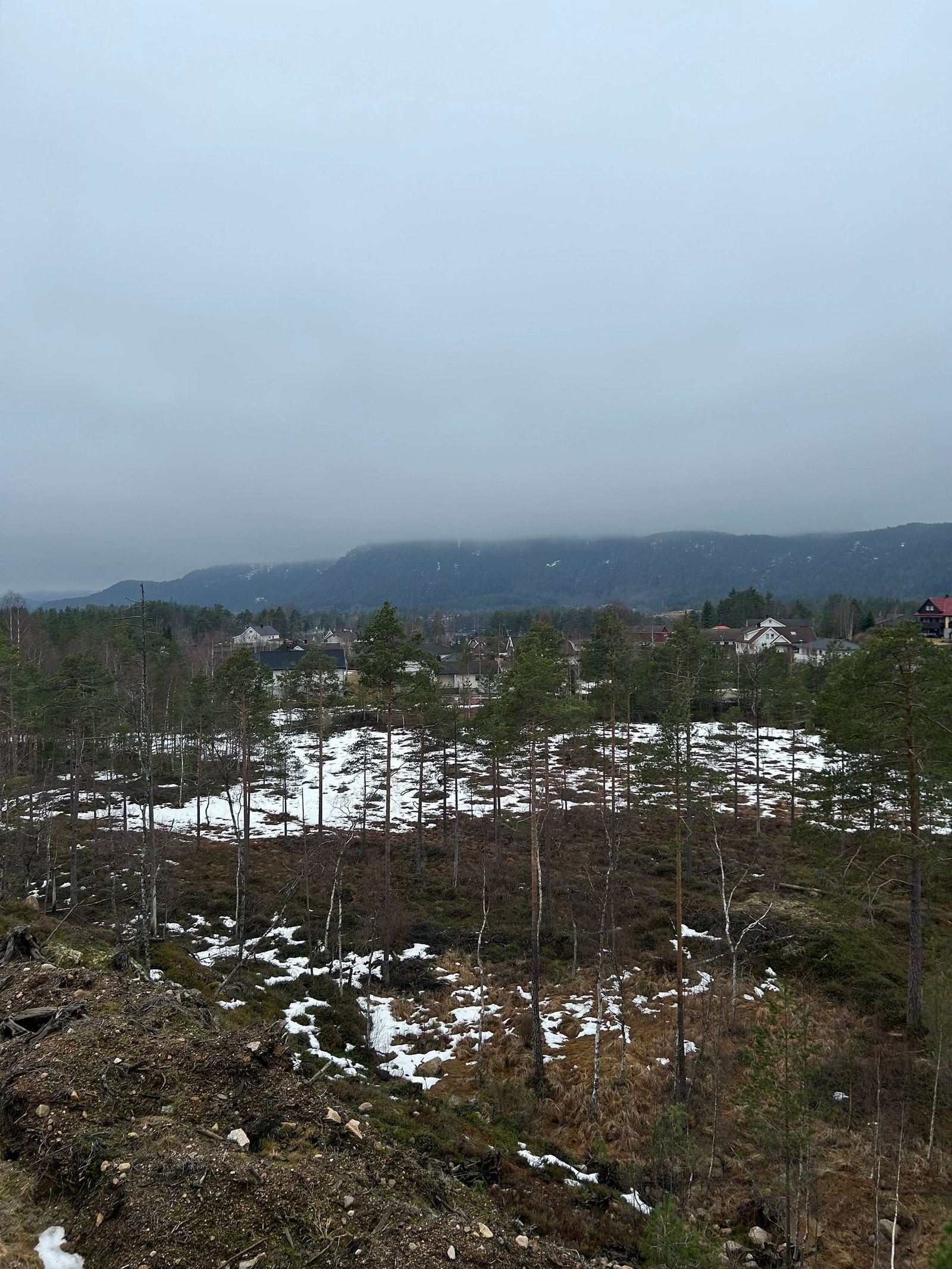 Utsikt fra tomta Galleribilde