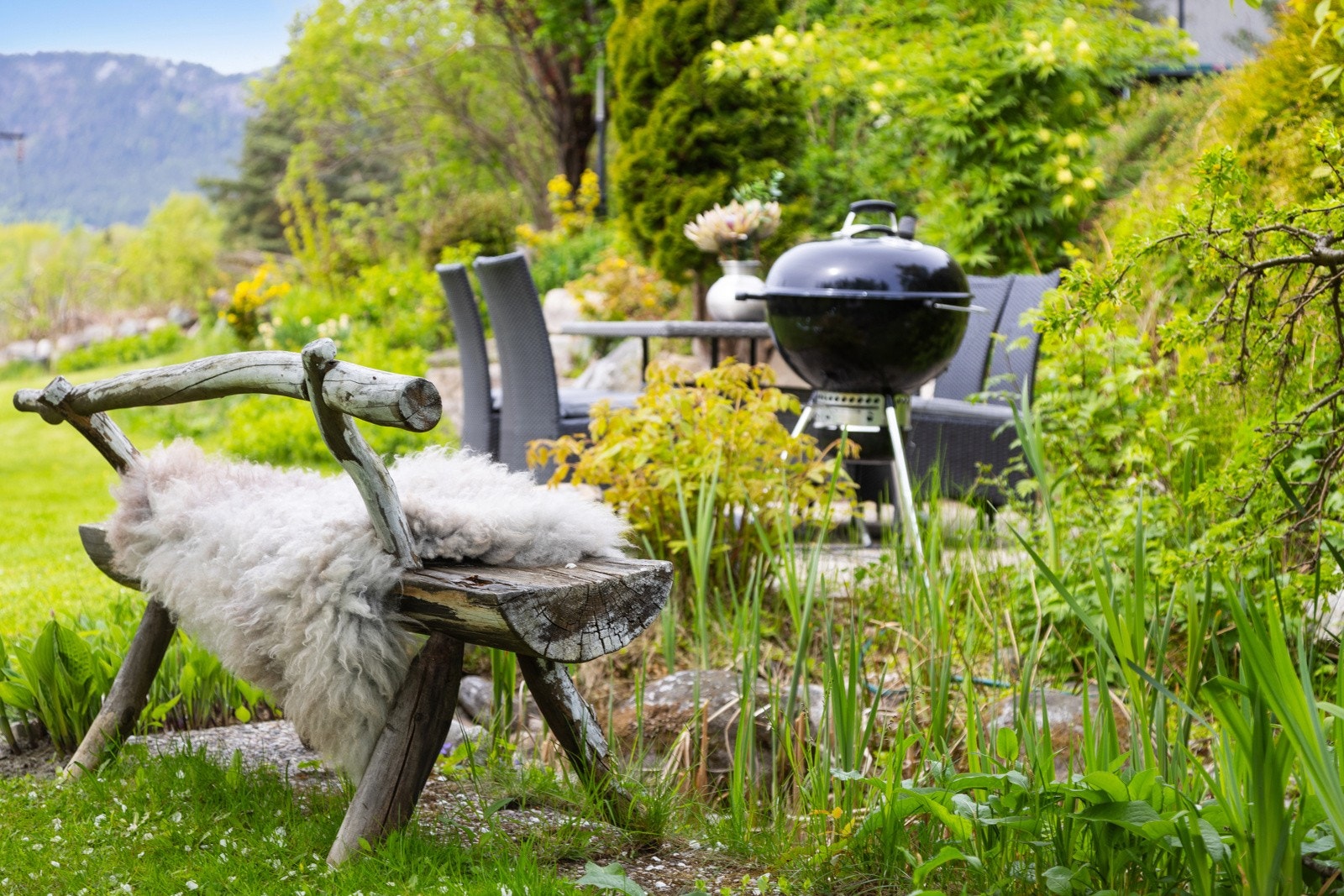 Opparbeidet hagedam Galleribilde