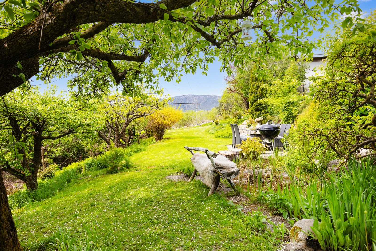 Innholdsrik hage på flere plan Galleribilde