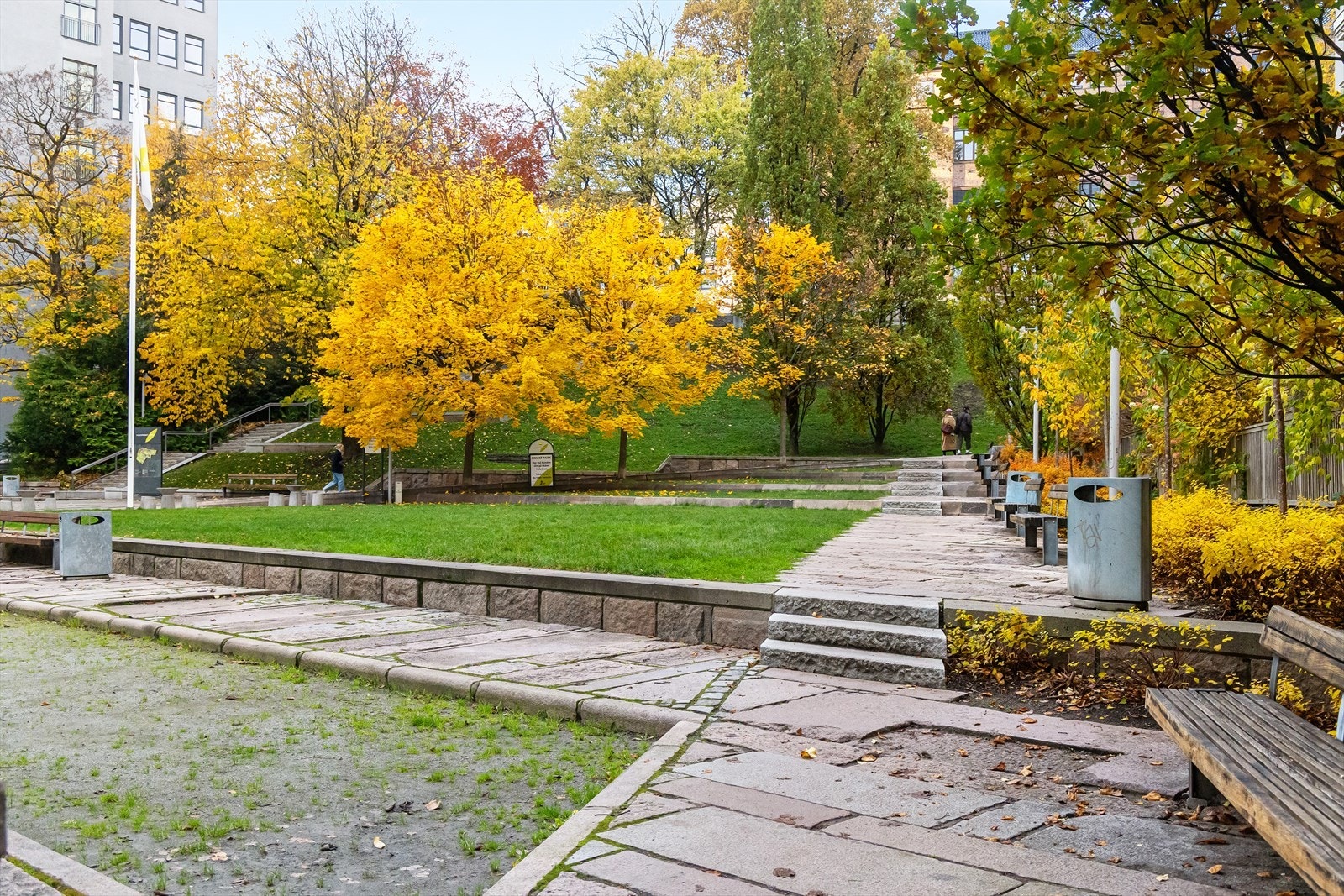 Områdebilde. Galleribilde