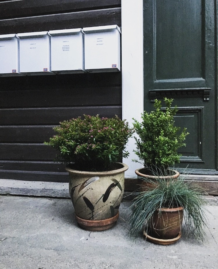 Leiligheten ligger i en veldrevet gård med totalt seks leiligheter Galleribilde