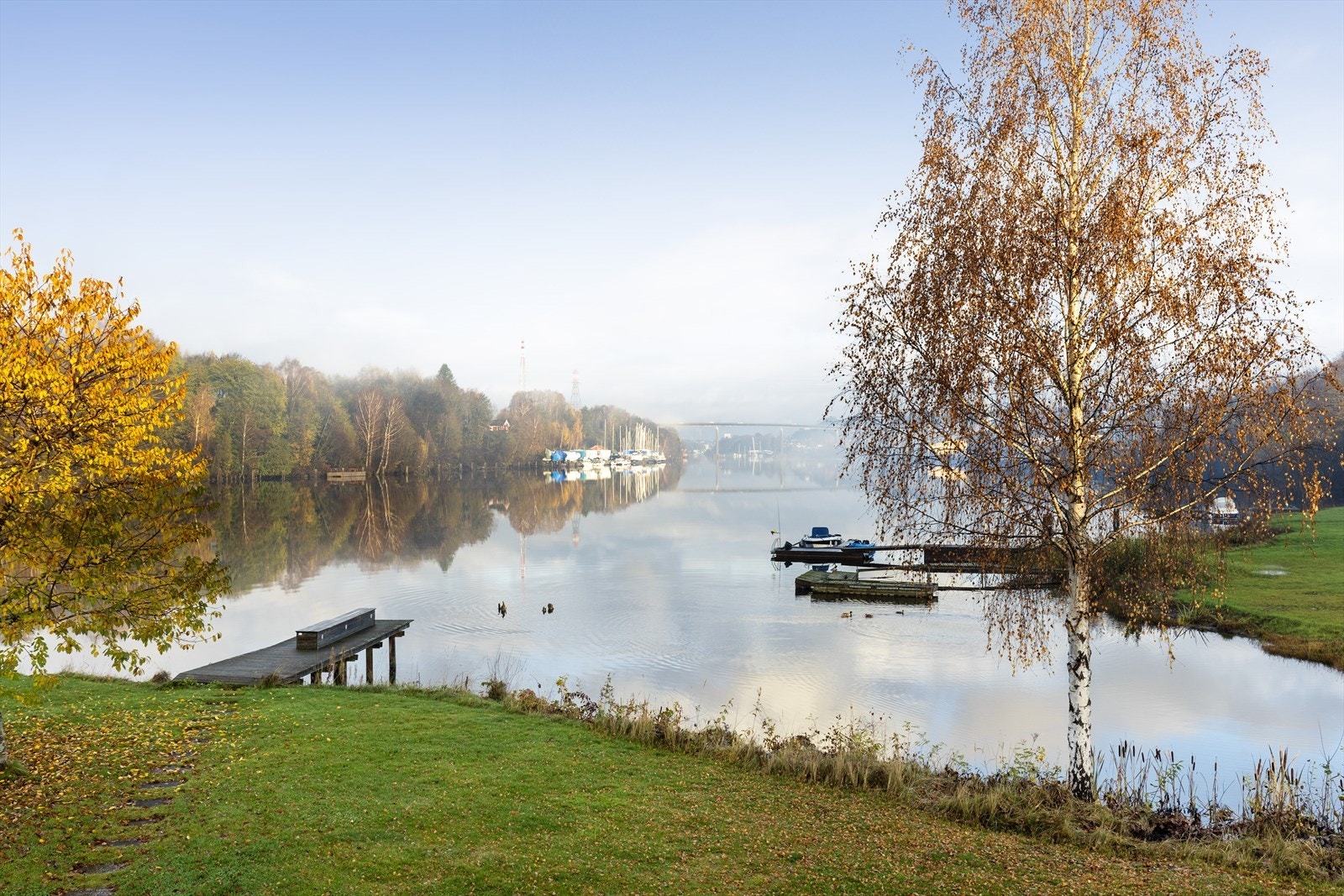 Mye liv på elva både sommer og vinter! Det er flott turområder og turstier på Borgestadholmen. Galleribilde