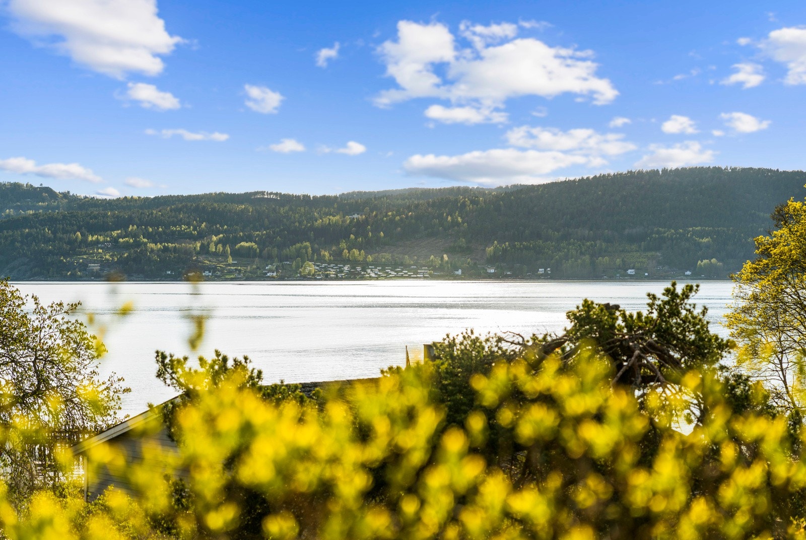 Beliggenhet - Beliggenhet - Beliggenhet! Galleribilde