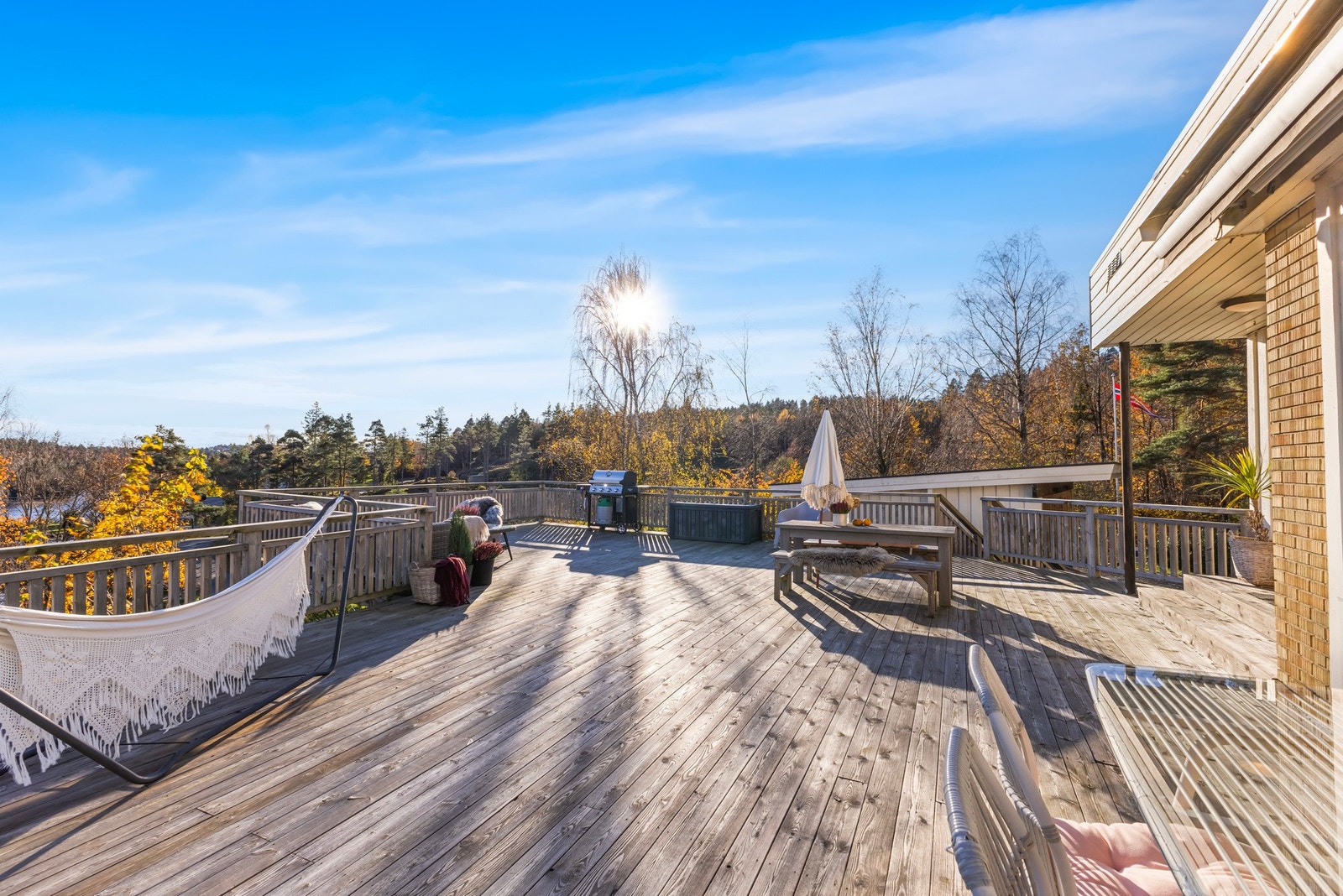 Stor boltreplass. Galleribilde