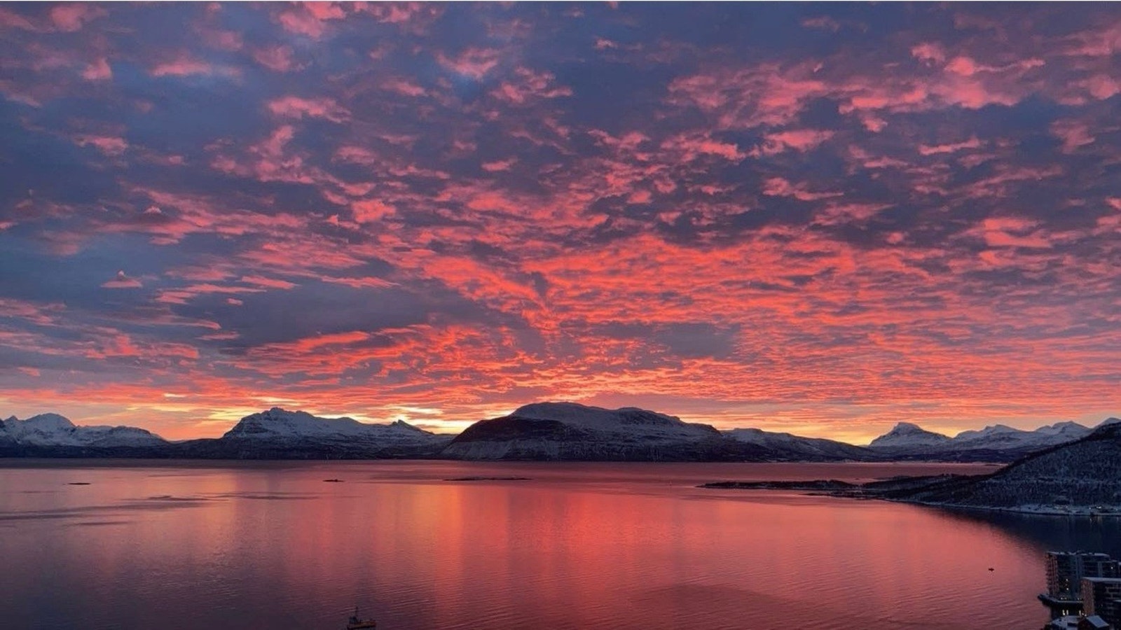 Selgers bilder Galleribilde