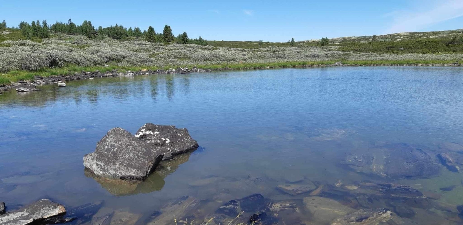 Du har tilgang til statsalmenningen for jakt og fiskemuligheter. Galleribilde