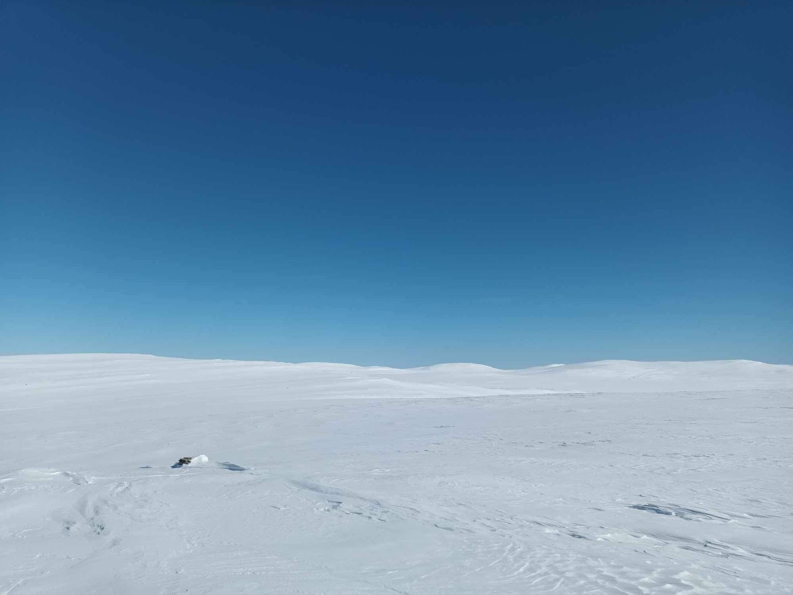 Snaufjellet Galleribilde