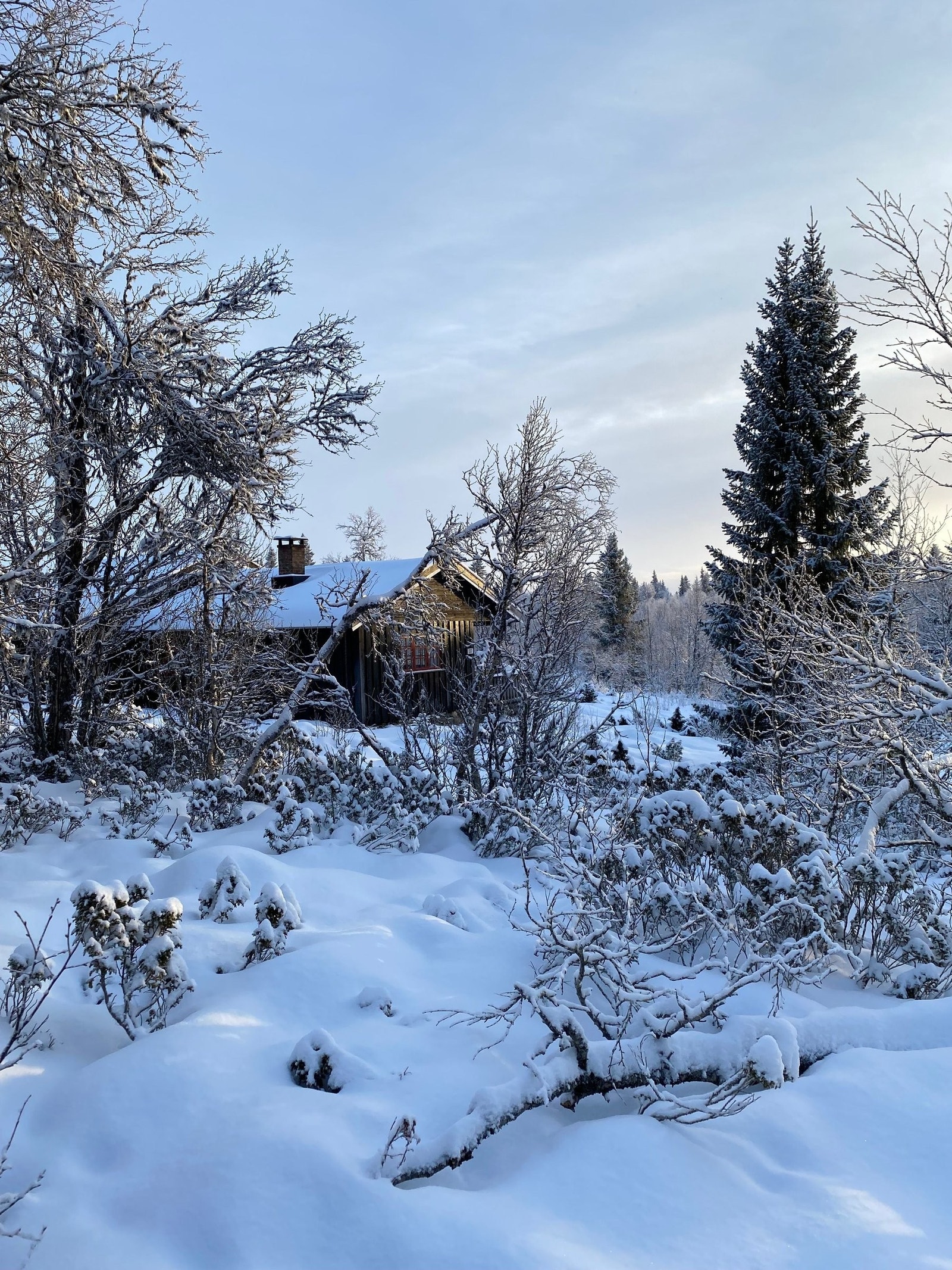 Vinterbilde Galleribilde