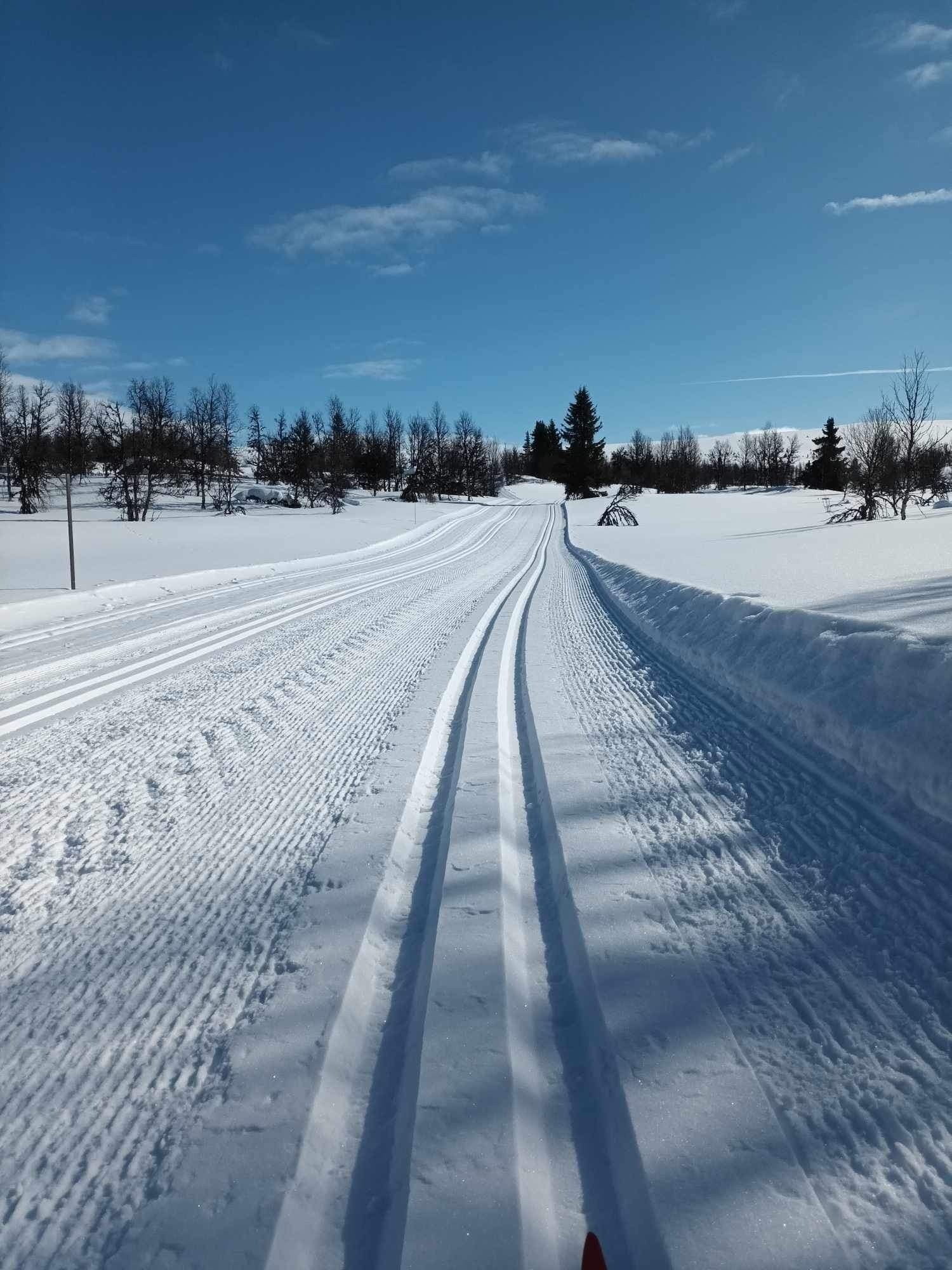 For skientusiaster er det bare 150 meter til preparerte dobbeltsporede løyper, inkludert Trollløypa, som tar deg opp til snaufjellet eller ned til Måsåplassen. Galleribilde