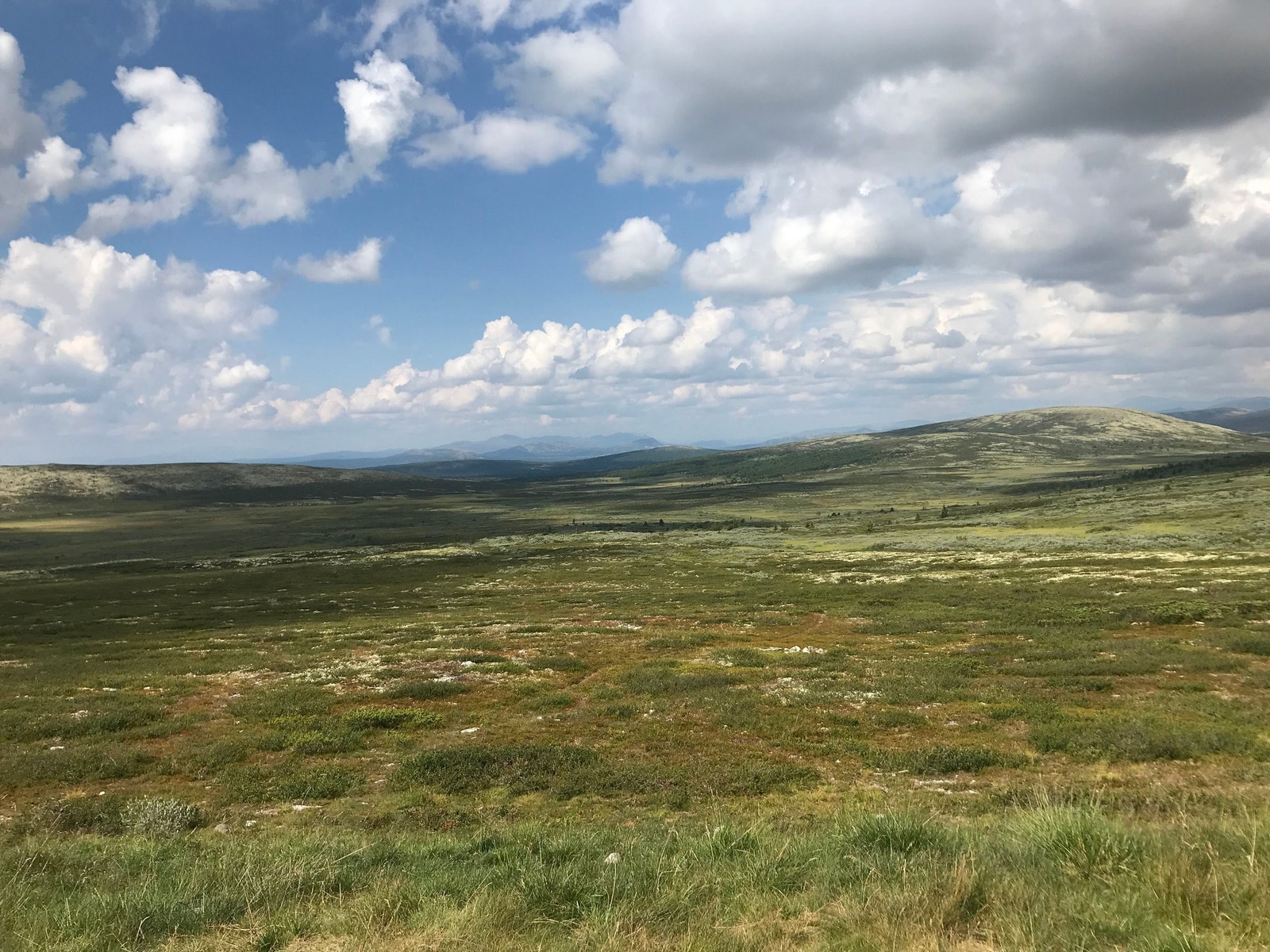 Snaufjellet Galleribilde