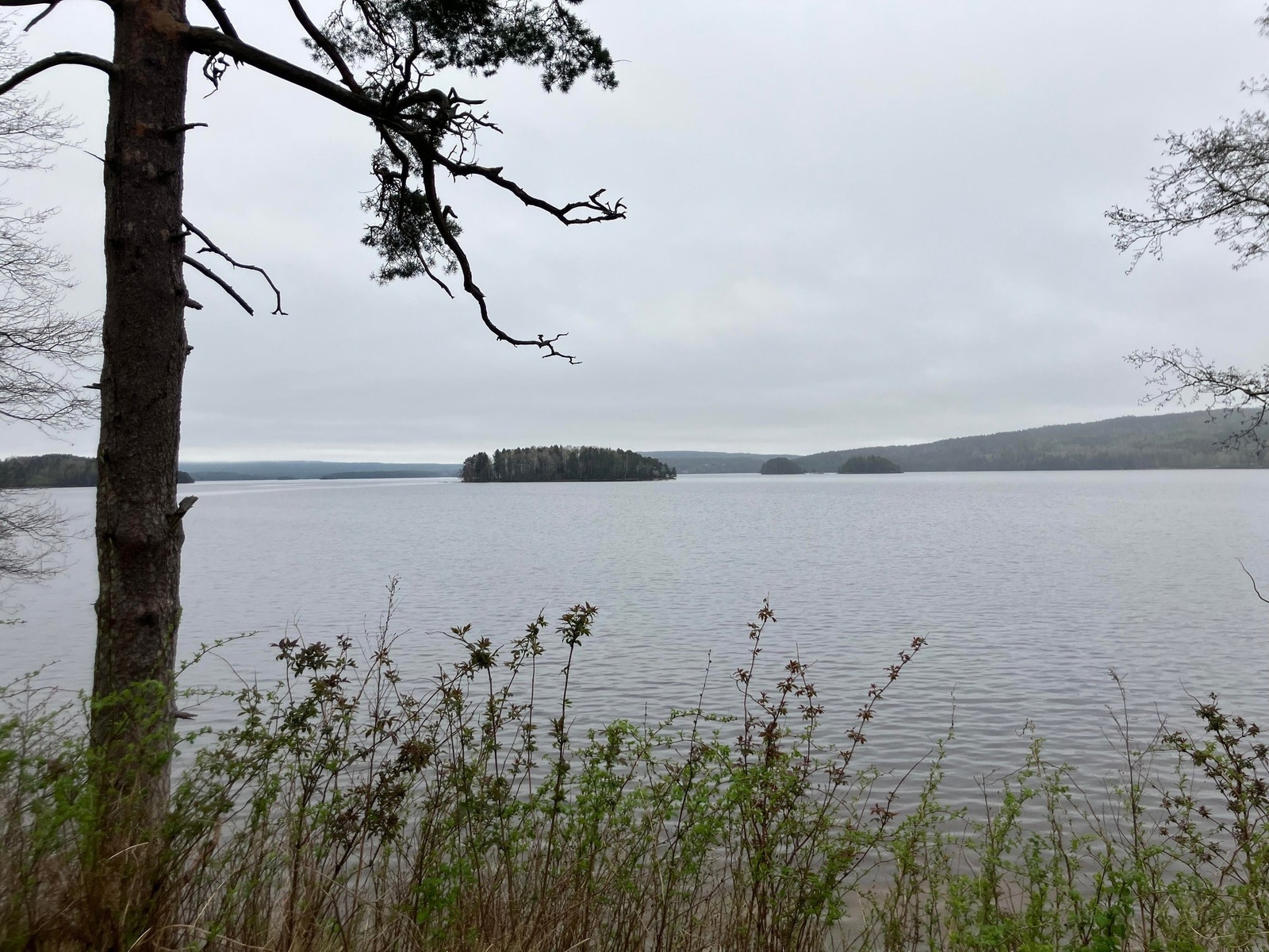 Femsjøen med gode tur og bademuligheter i gangavstand til leiligheten Galleribilde