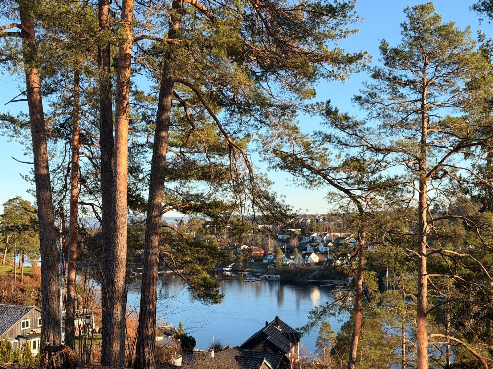 Utsikten fra stuen og balkongen Galleribilde