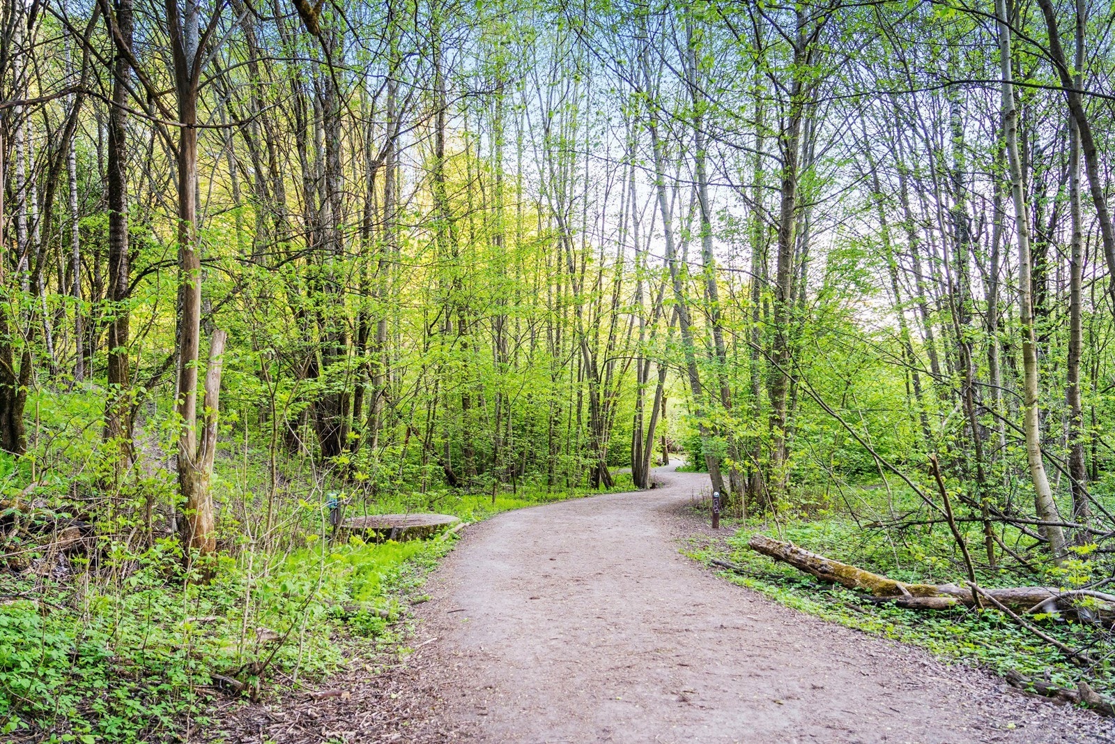Sentralt i forhold til Oslo sentrum, samtidig som det ligger godt tilbaketrukket med ypperlige turmuligheter langs Alnaelva. Galleribilde