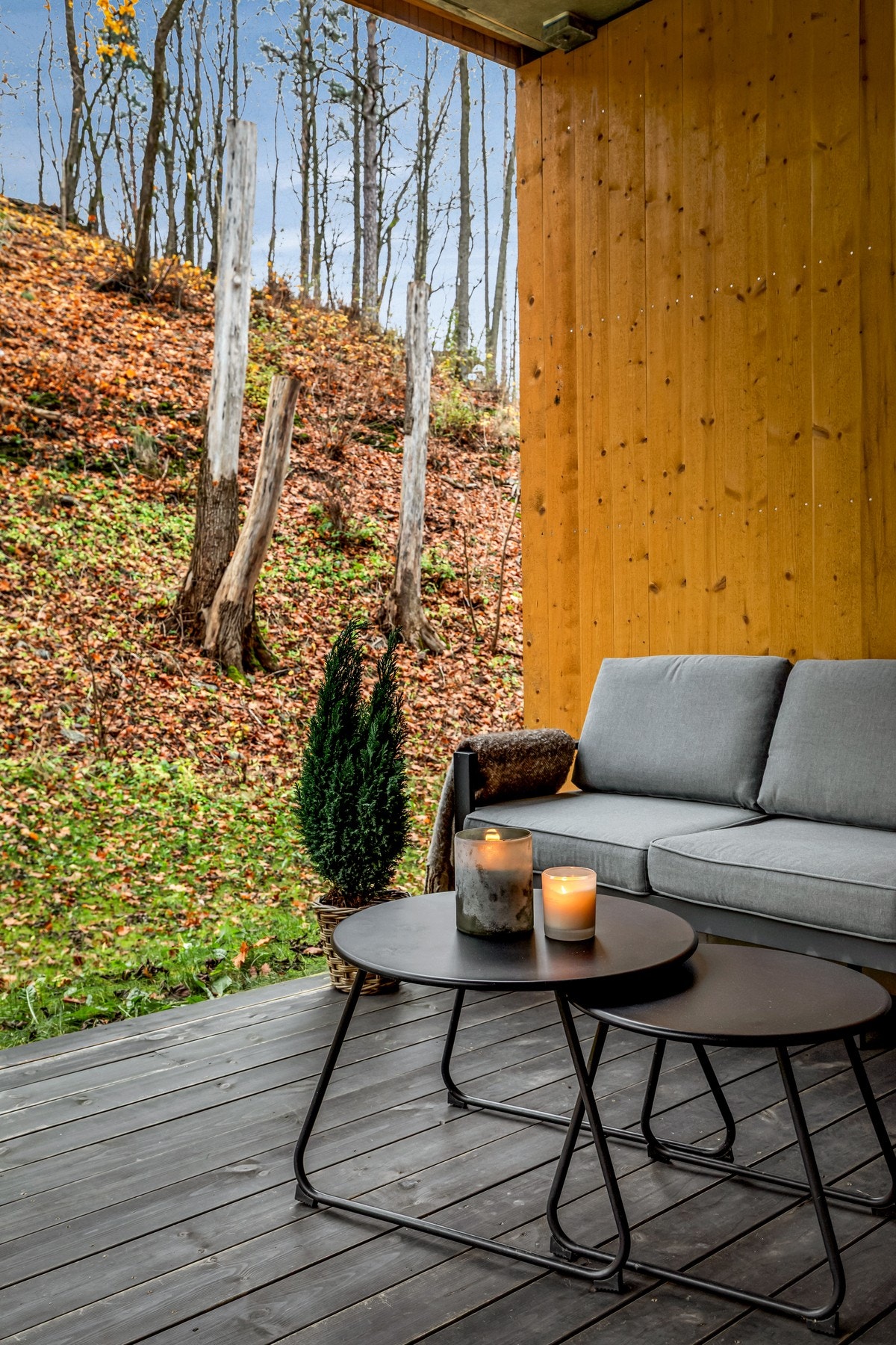 Rolig og skjermet uteplass med utsyn mot grønt område. Galleribilde