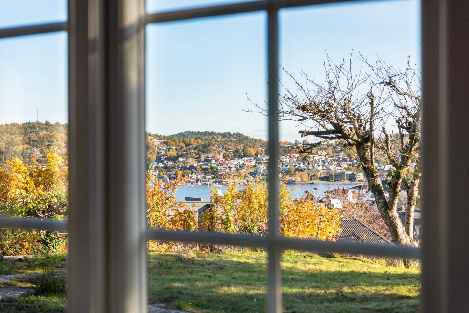 Nyt vakker utsikt! Galleribilde