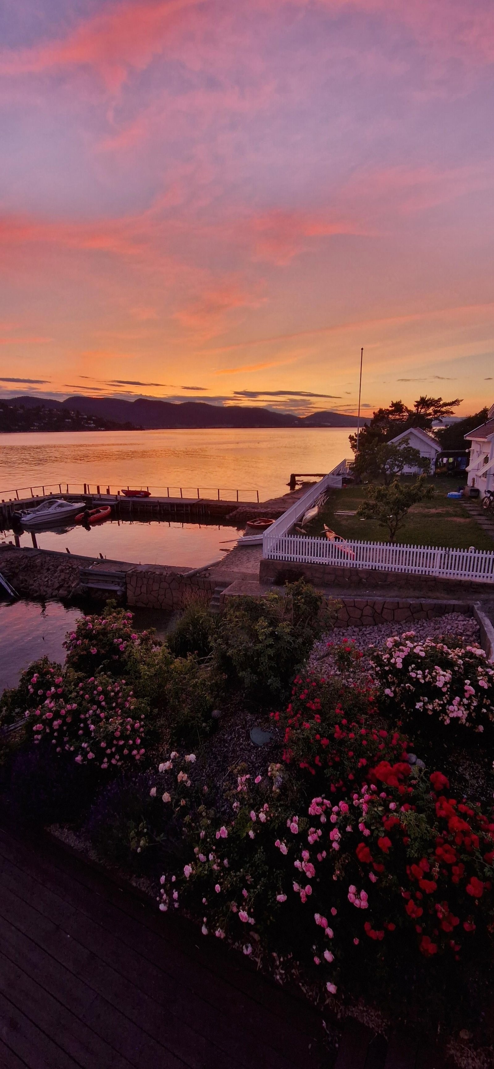 Støaveien 20 - roser Galleribilde