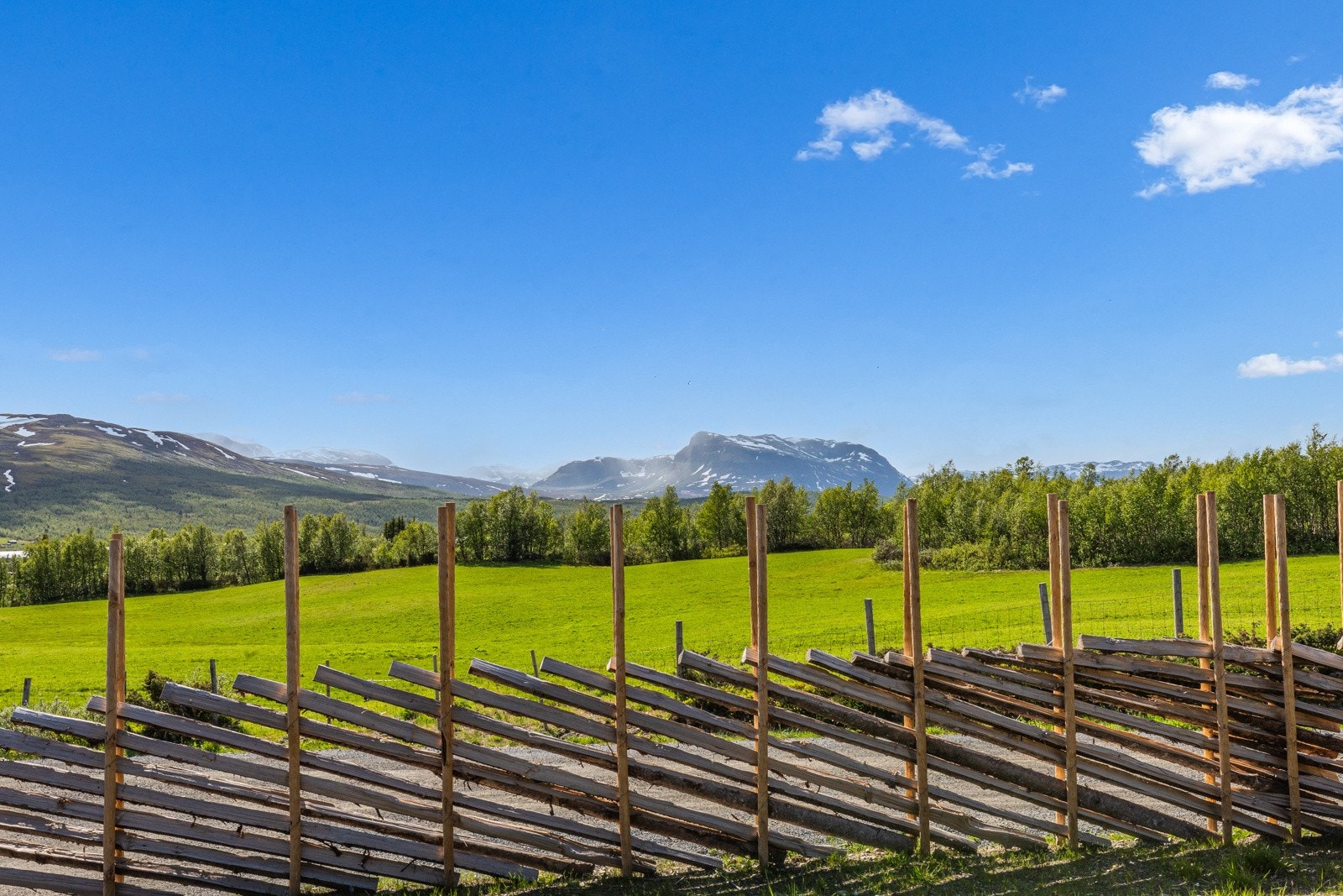 Eiendommen ligger fint til i et område med veletablerte støler og hytter - Det er beitedyr i området sommerstid Galleribilde