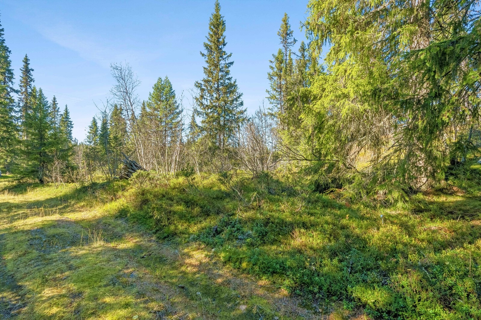 Tomta ligger i et område med spredt hyttebebyggelse, men den ligger usjenert til med lite innsyn. Hyttetomta ligger mellom to av flere ubebygde tomter i området, hvor alle tomtene er i god størrelse. Galleribilde