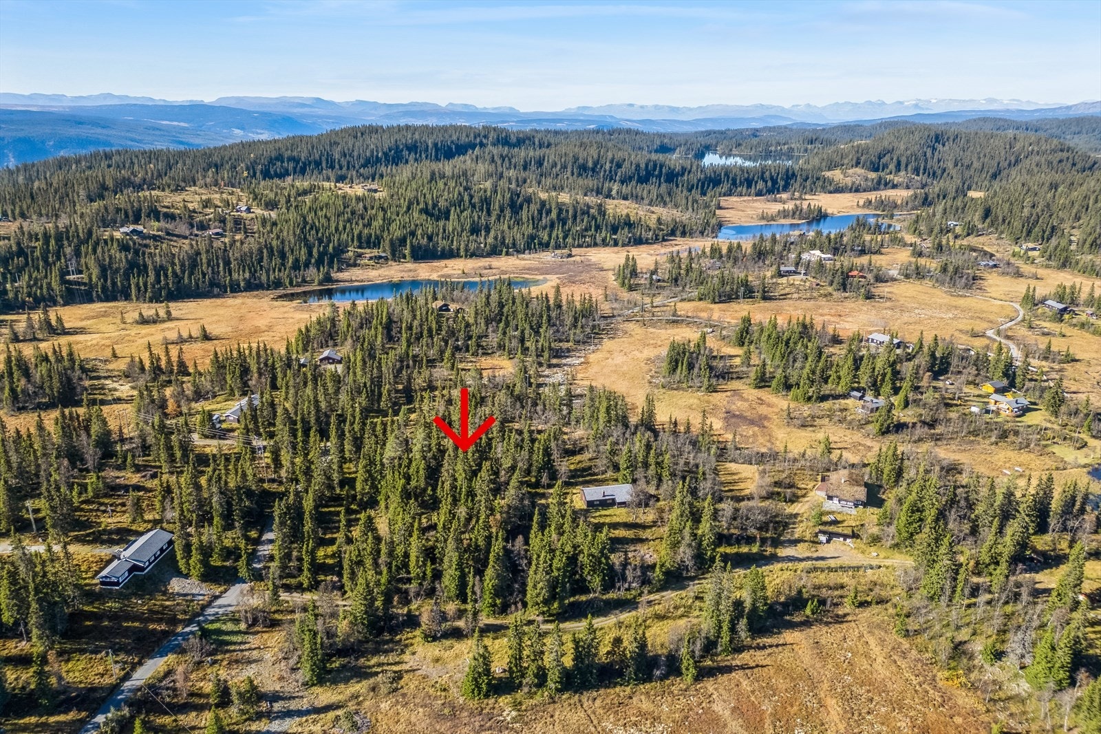 Velkommen til Gråndalsvegen 59 på Aurdalsåsen! Fotograf: Tor Solberg. Galleribilde