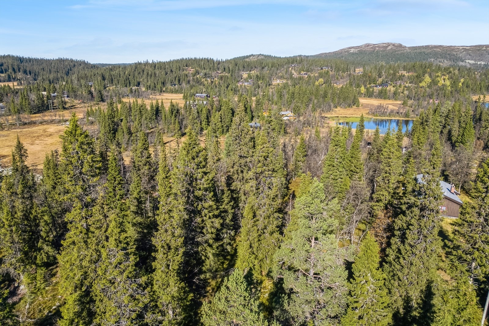 Velkommen på til fjells! Galleribilde