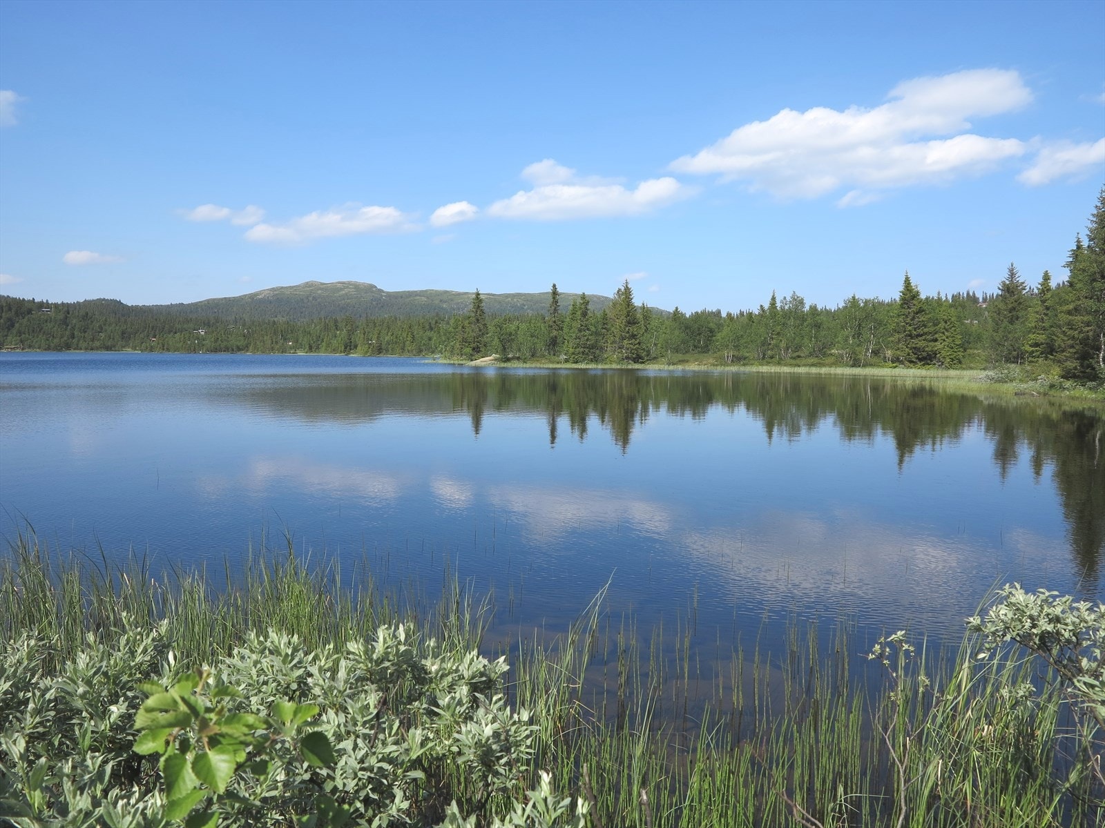 Det kan også være godt å bare sykle en liten tur, og kanskje sette seg ned vet et fjellvann, som feks. Damtjernet. Galleribilde