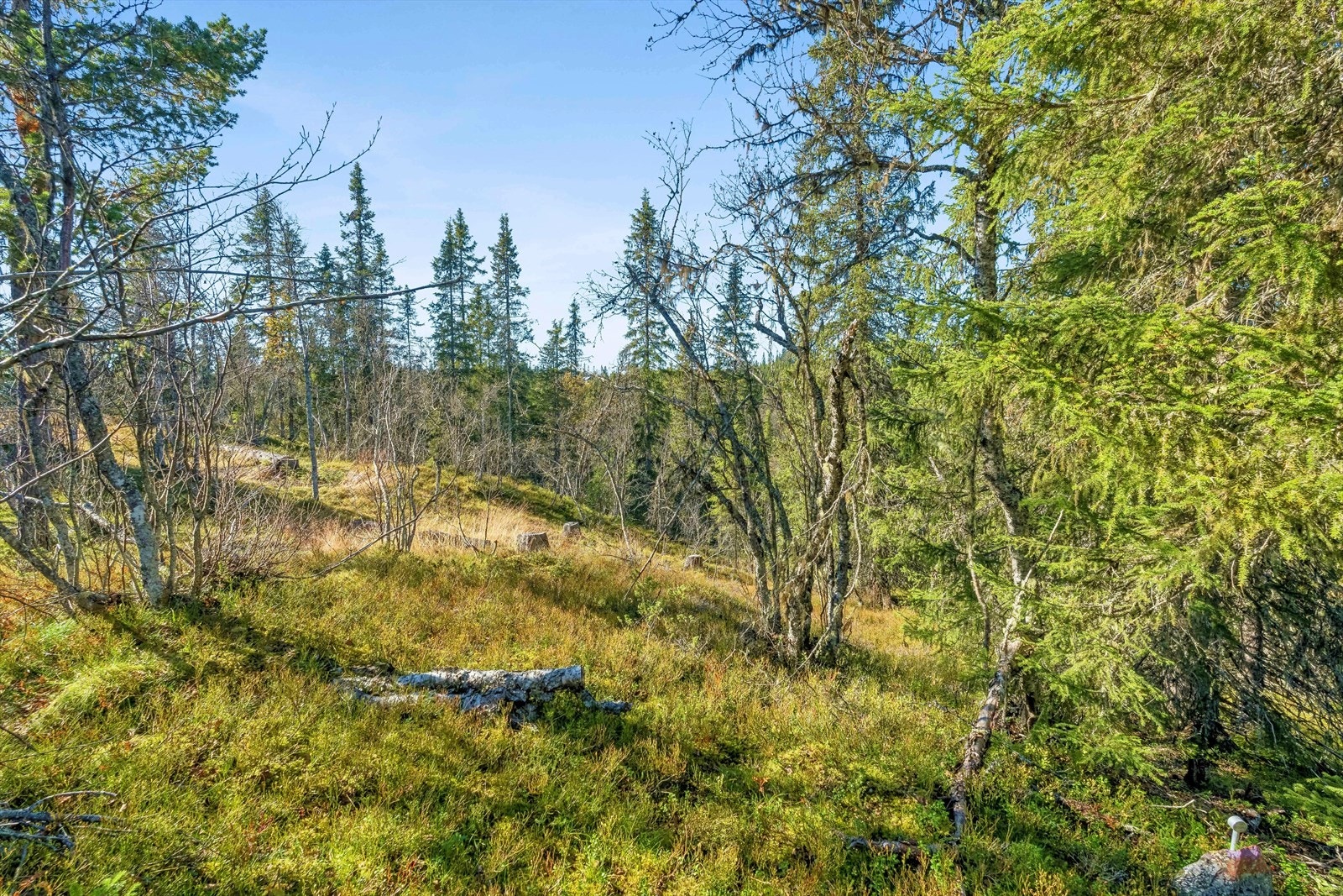 Om vinteren er det milevis med oppkjørte skiløyper ca. 30 m fra tomta. Løypenettet strekker seg forresten helt til Beitostølen, så her er det noe for alle! Ønsker en å kjøre alpint, er det kort vei til Valdres Alpinsenter. Galleribilde