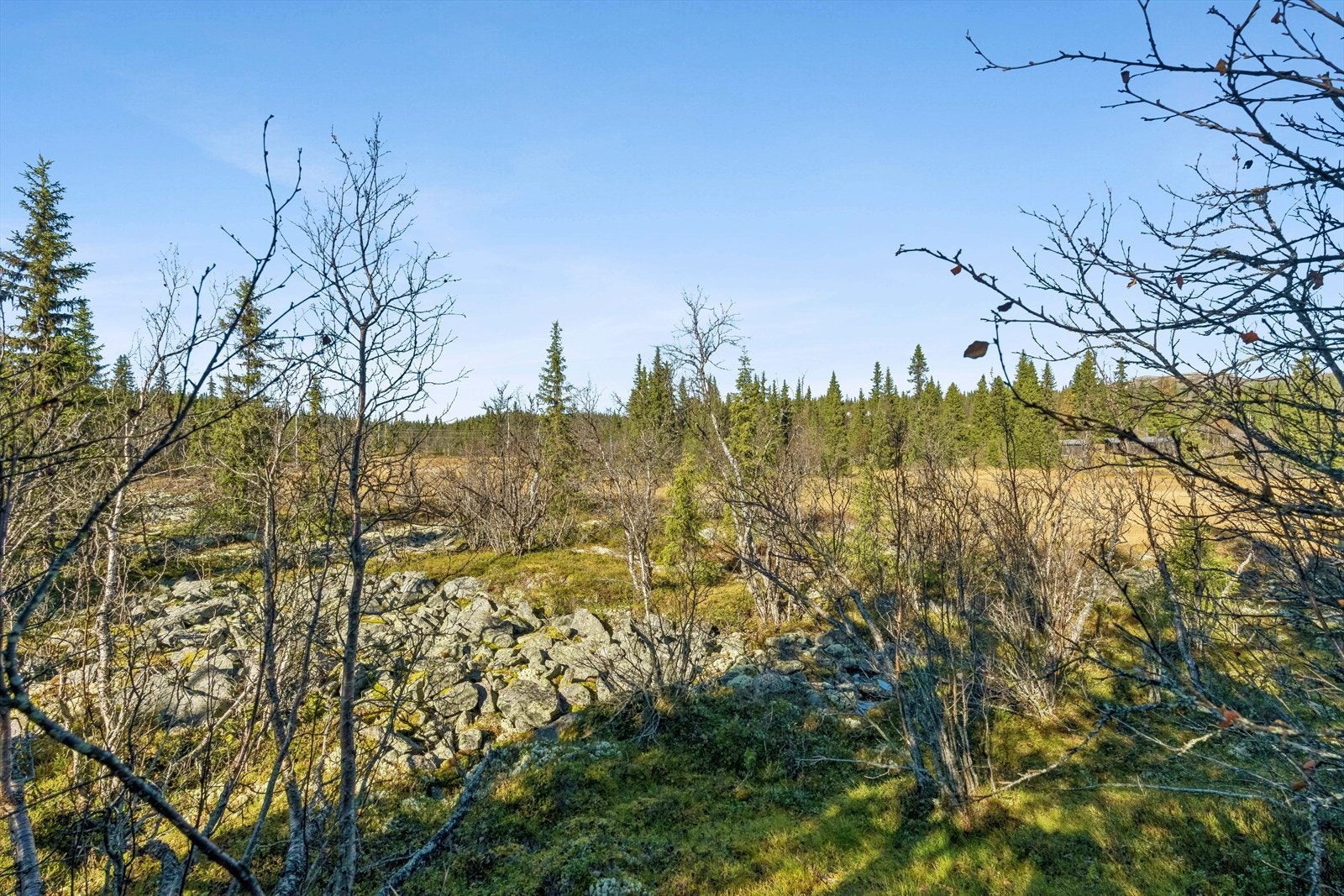 Her finner du en stor eiertomt beliggende i idylliske og rolige omgivelser, med god solforhold og fin utsikt mot nord hvor en finner Binhovdsknatten. Galleribilde
