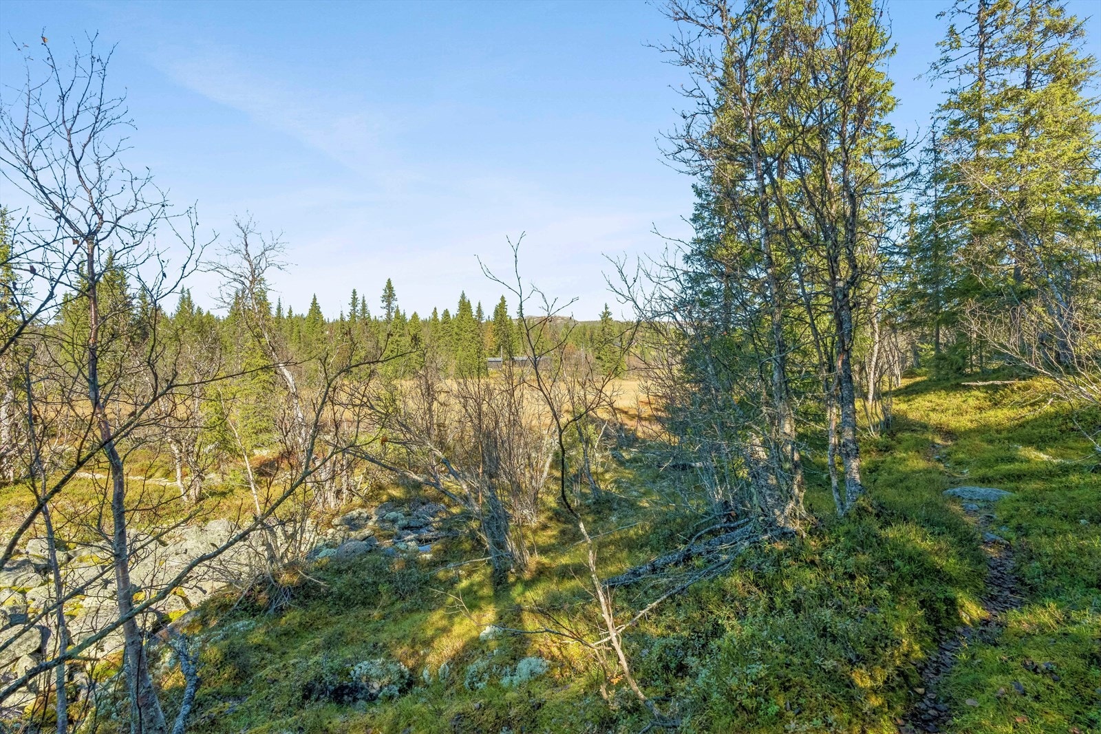 Turer til Binnhovdknatten, Fjellenden og Bjørgovarden kan alle anbefales. De mange stølsveiene i området egner seg godt til opplevelsesrike sykkelturer, og det er muligheter for kjøp av jaktkort. Galleribilde