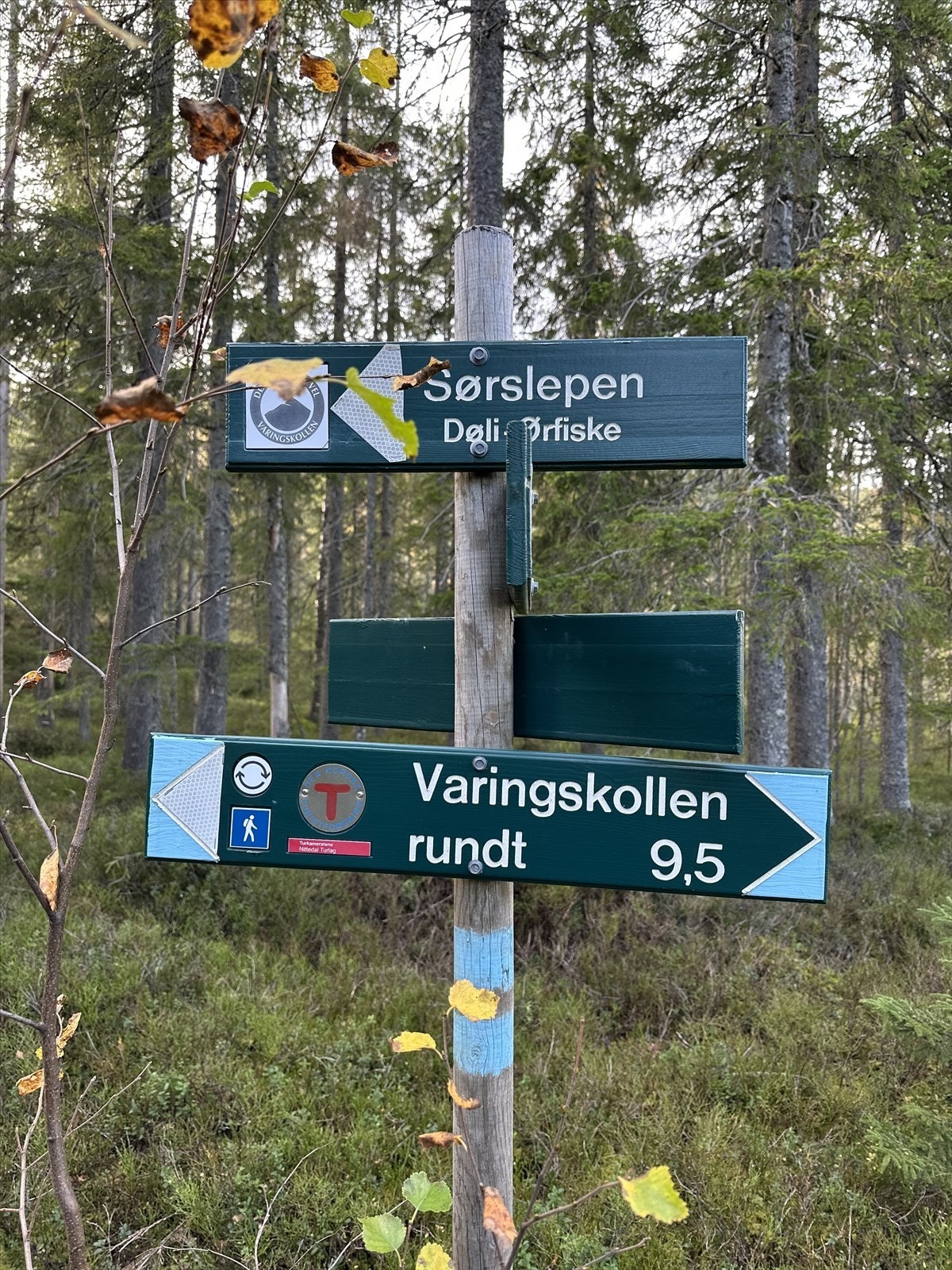 Turbilde Varingskollen.jpg Galleribilde